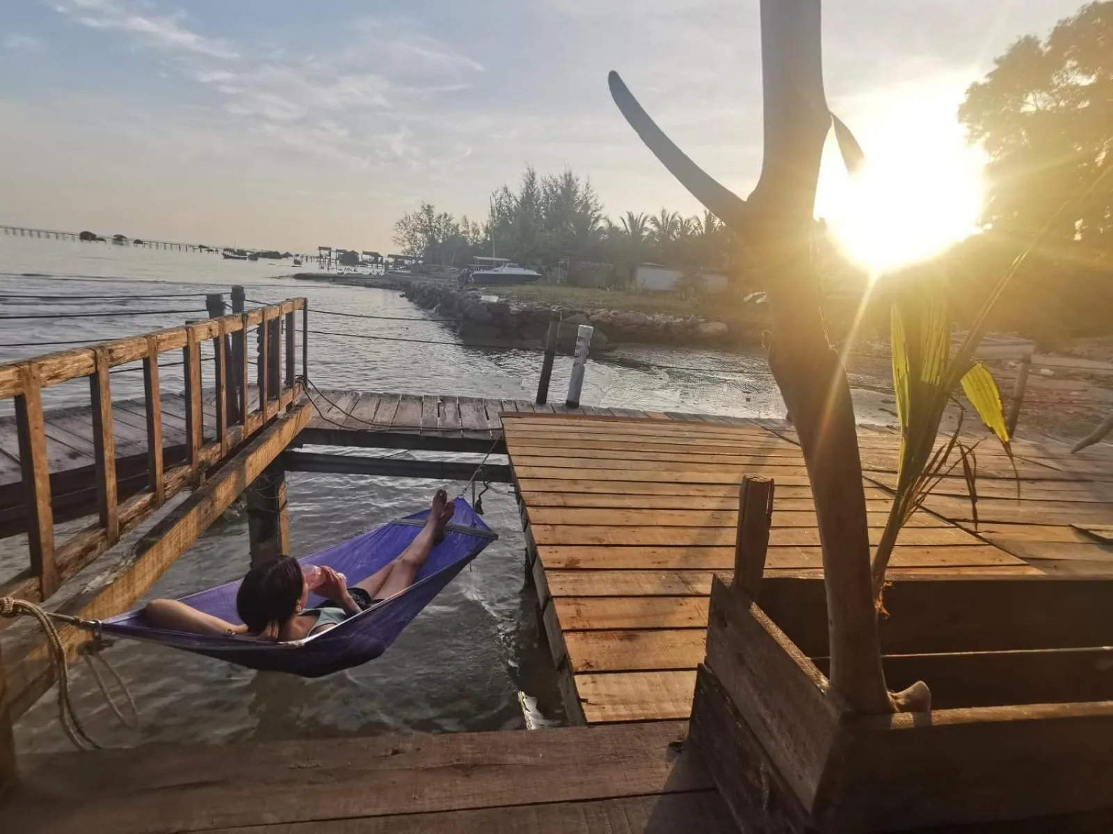 Natural landscape in Freedom Beach Resort