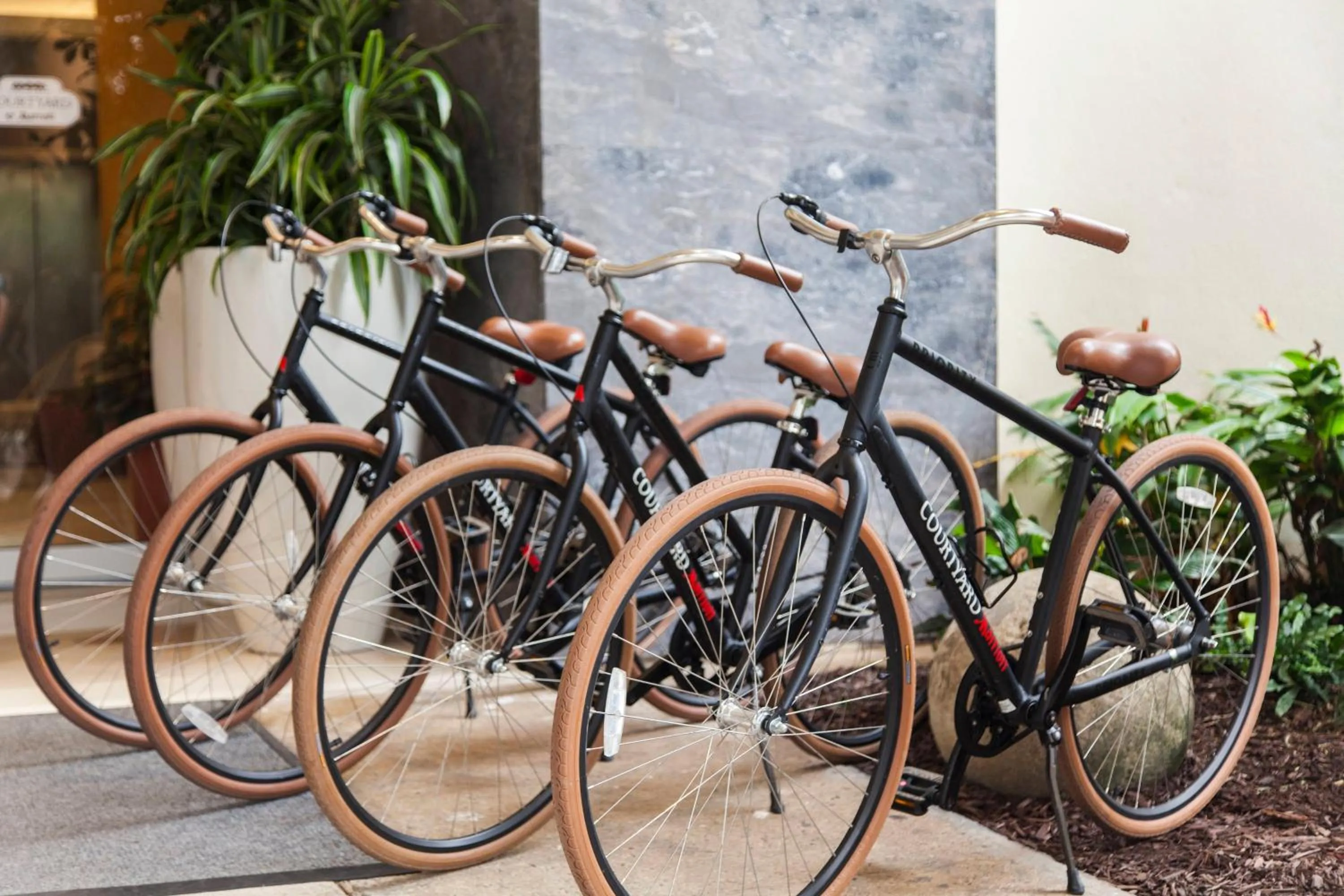 Other in Courtyard by Marriott Isla Verde Beach Resort