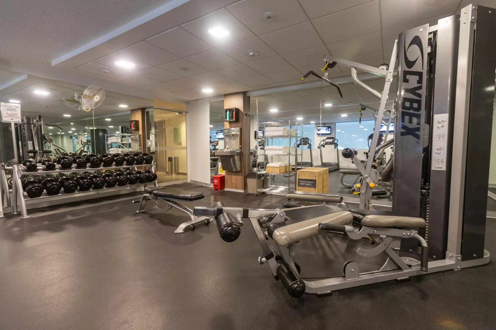Fitness centre/facilities in Casa Andina Select Arequipa Plaza