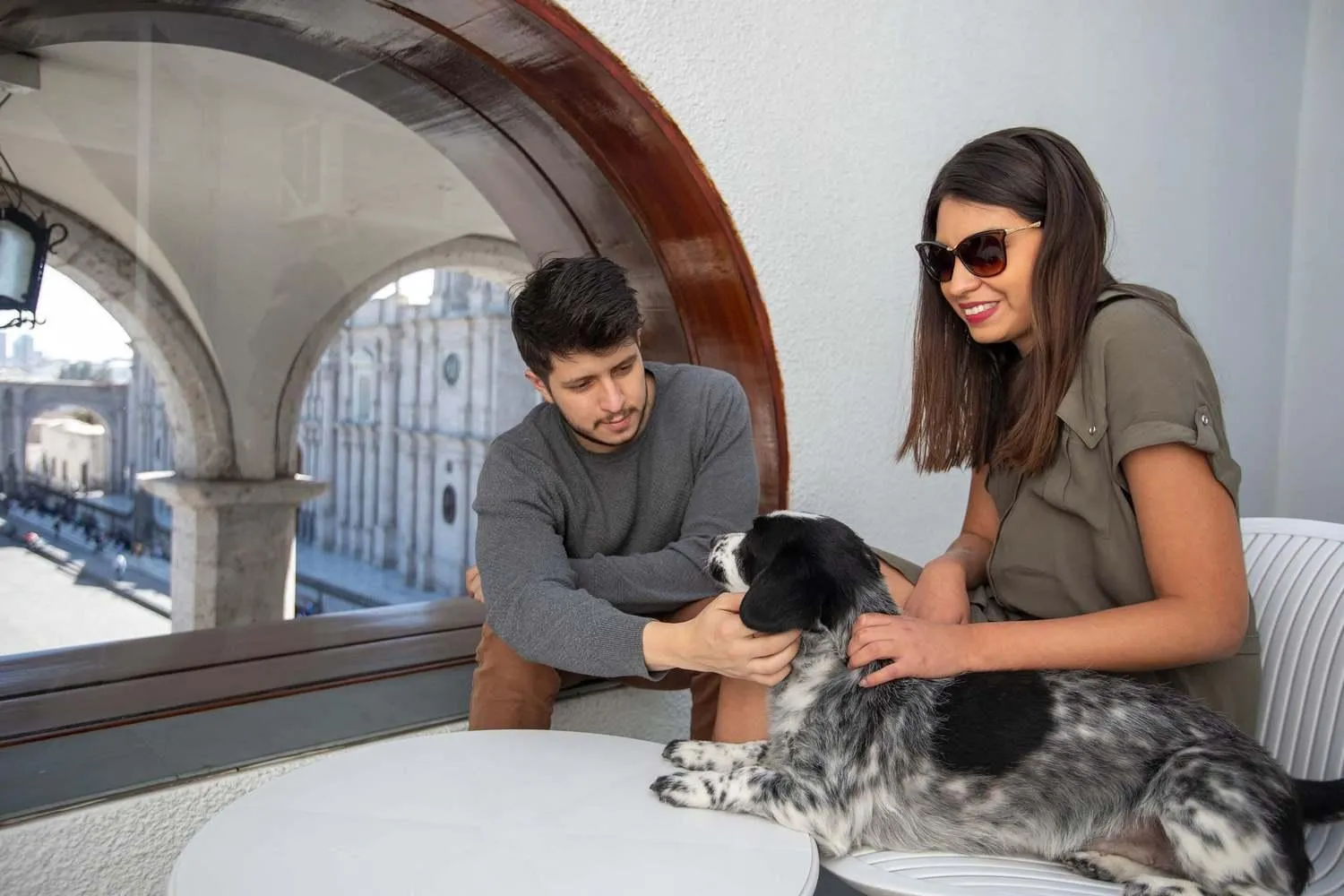 Pets in Casa Andina Select Arequipa Plaza