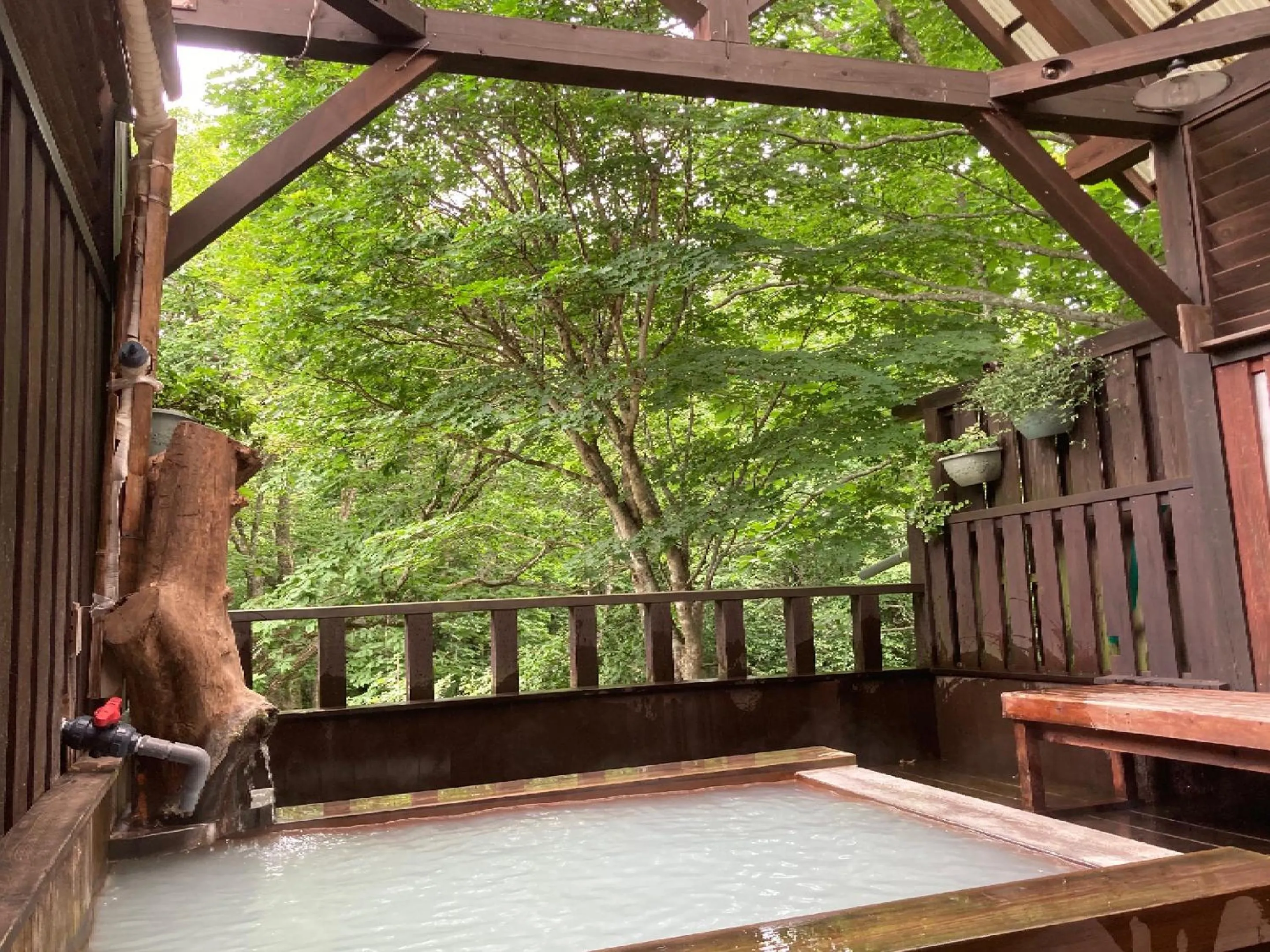 Shinyu Onsen Kurikomaso