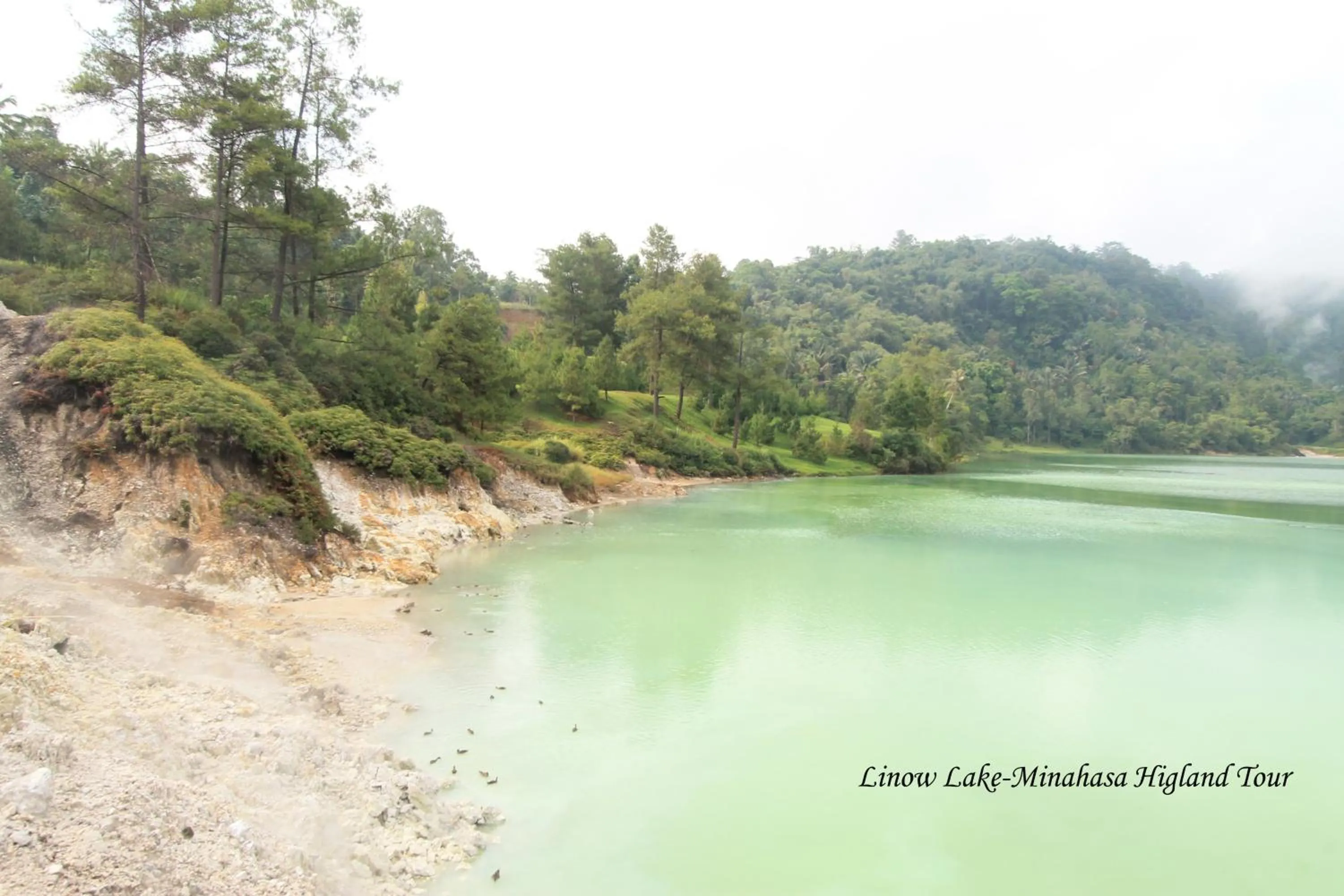 Activities in Cocotinos Manado