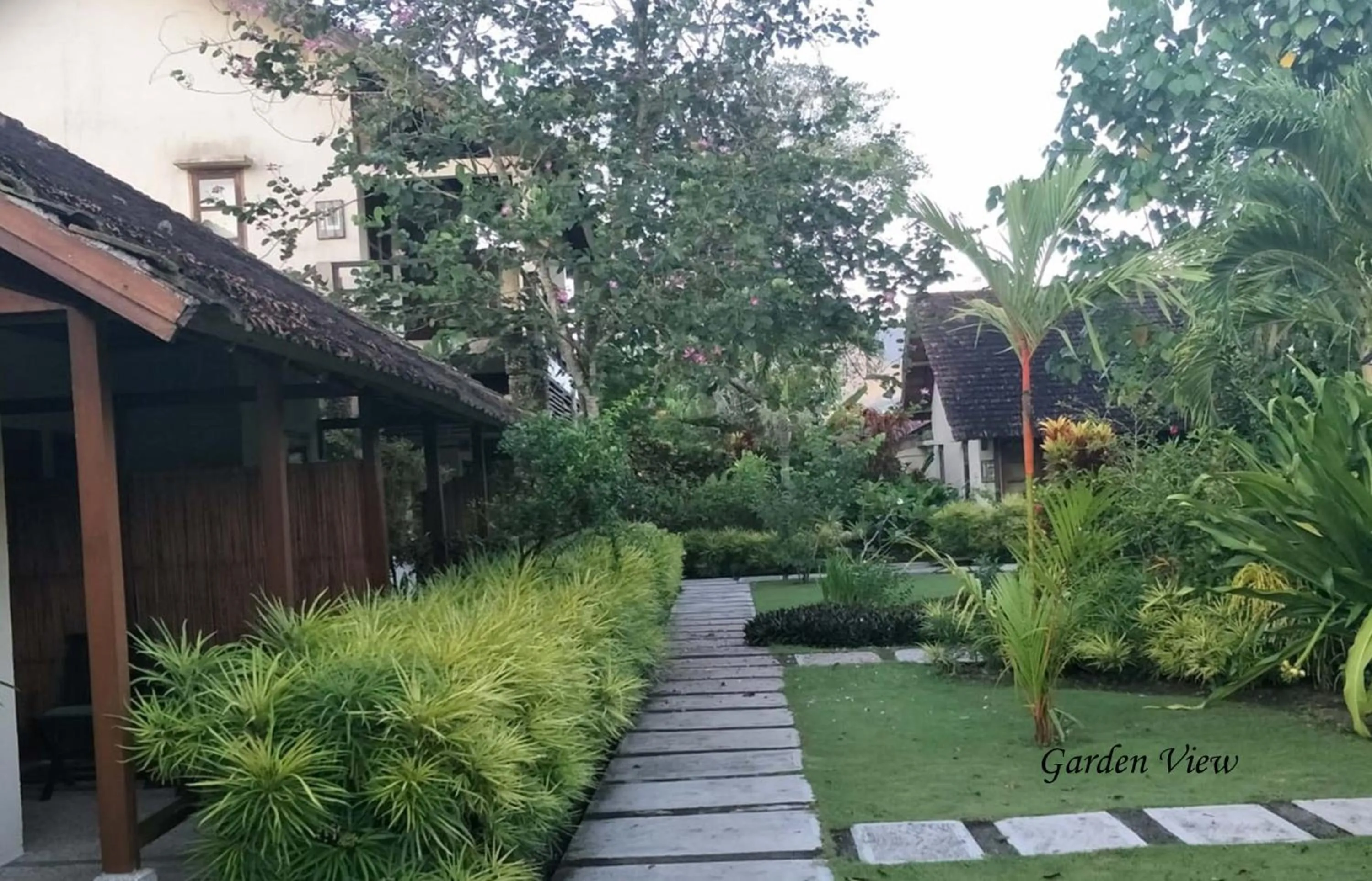 Garden view in Cocotinos Manado