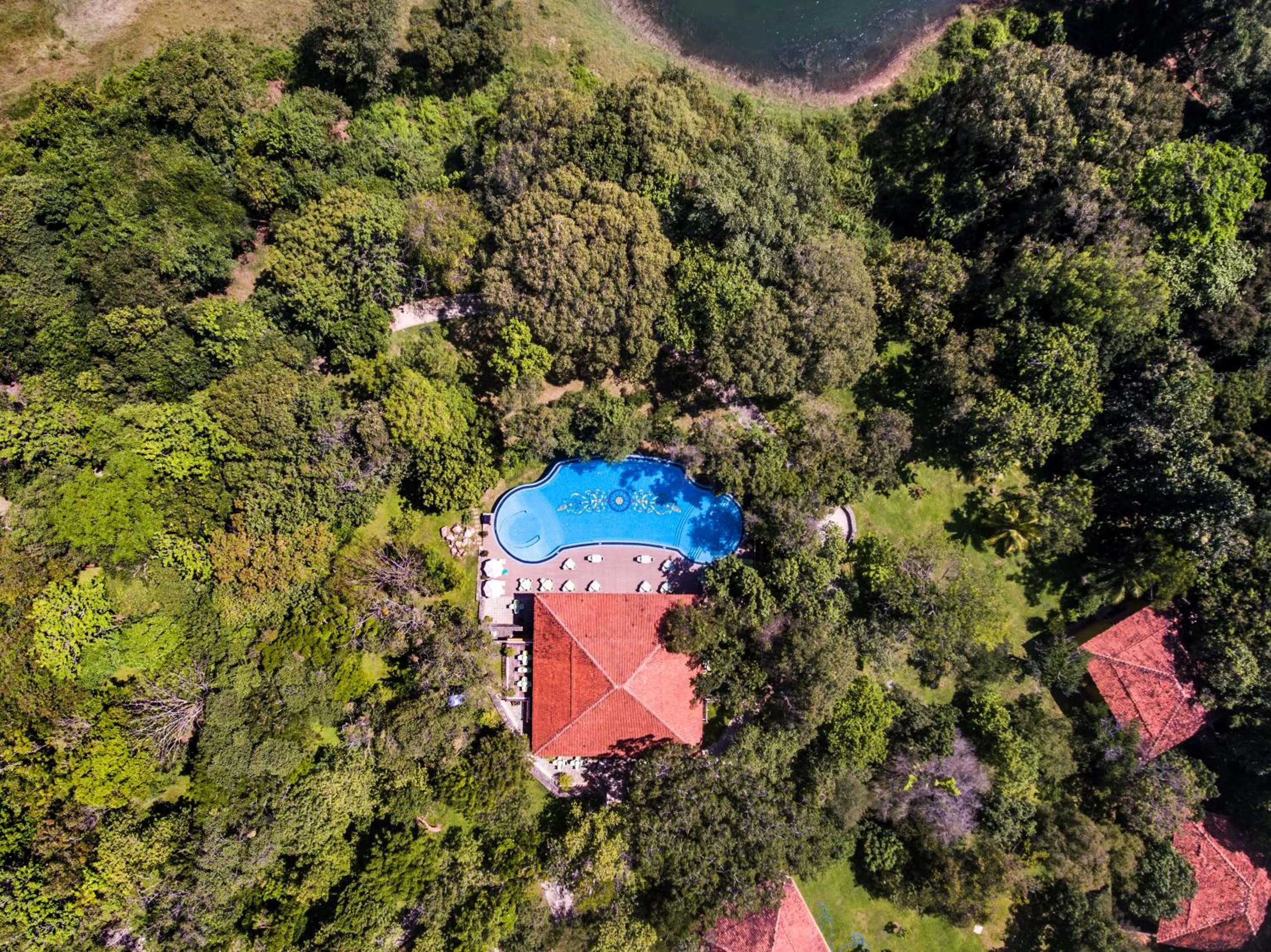Swimming pool in Amaya Lake Dambulla