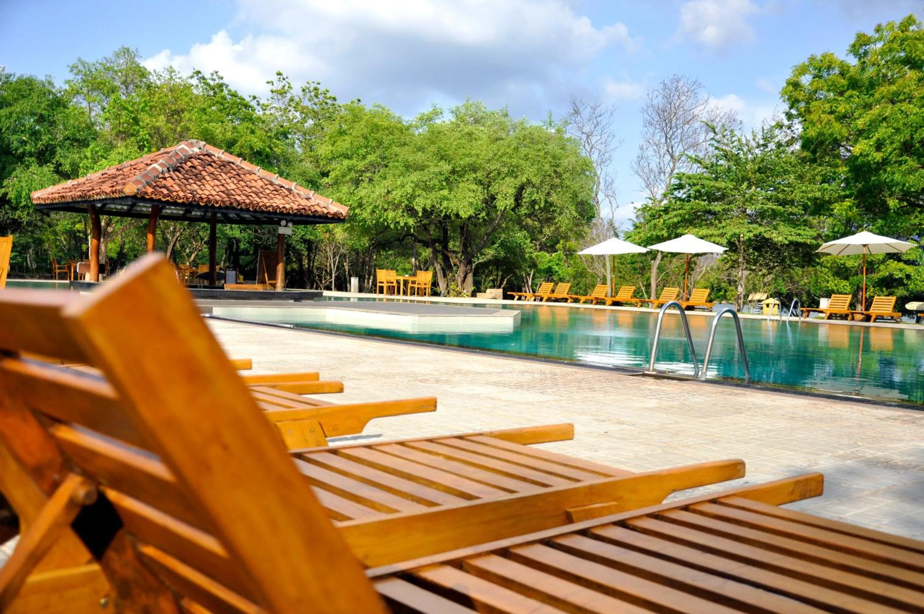 Swimming pool in Amaya Lake Dambulla