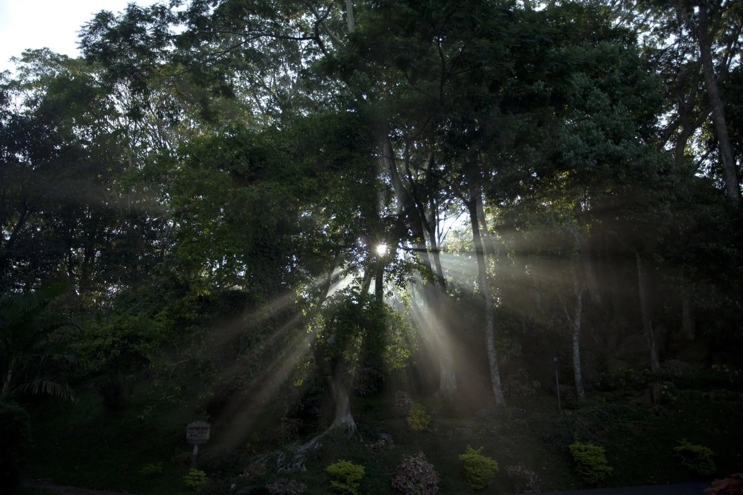 View (from property/room) in Amaya Hills Kandy