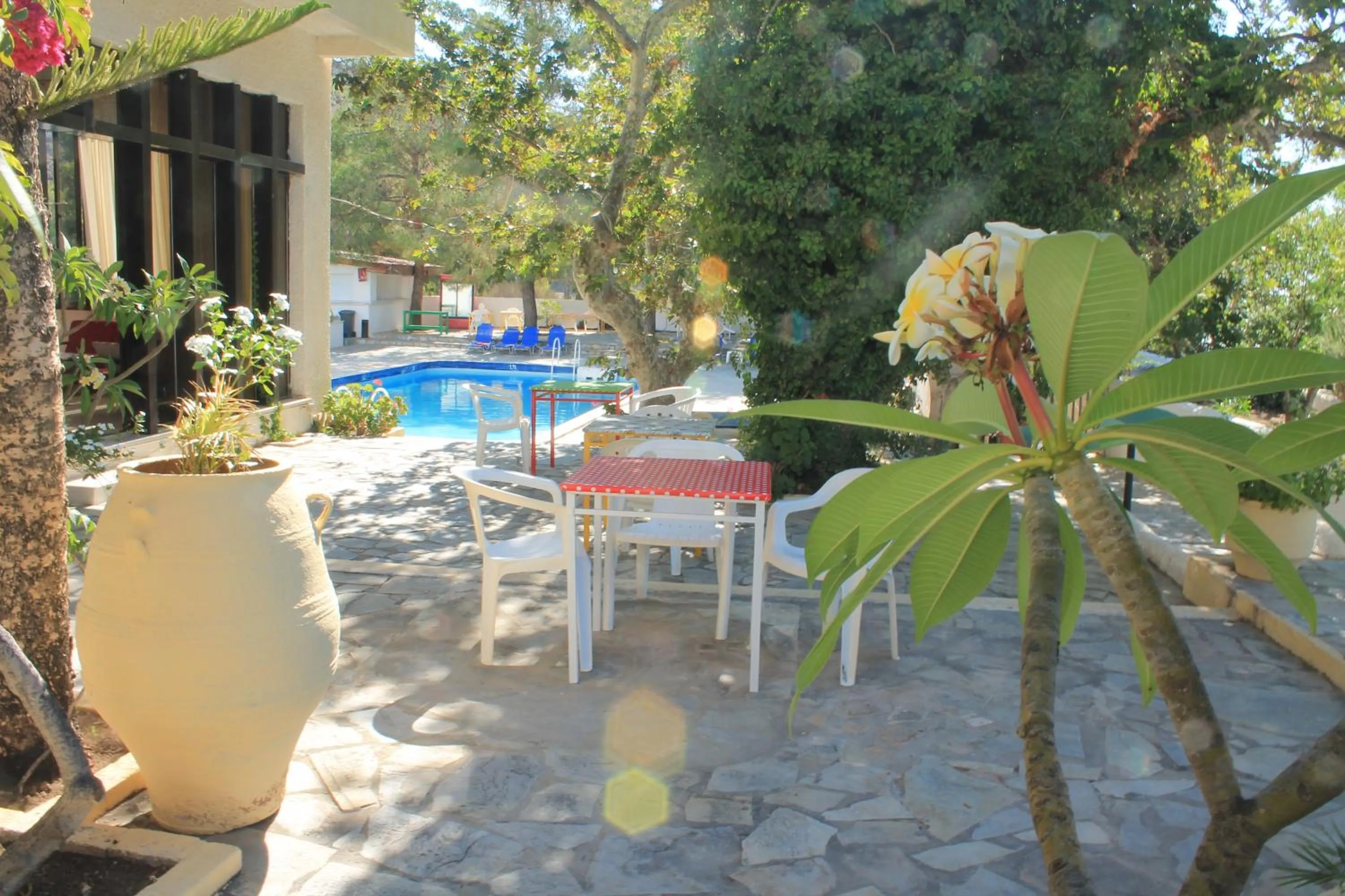 Restaurant/places to eat in Esperides Hotel