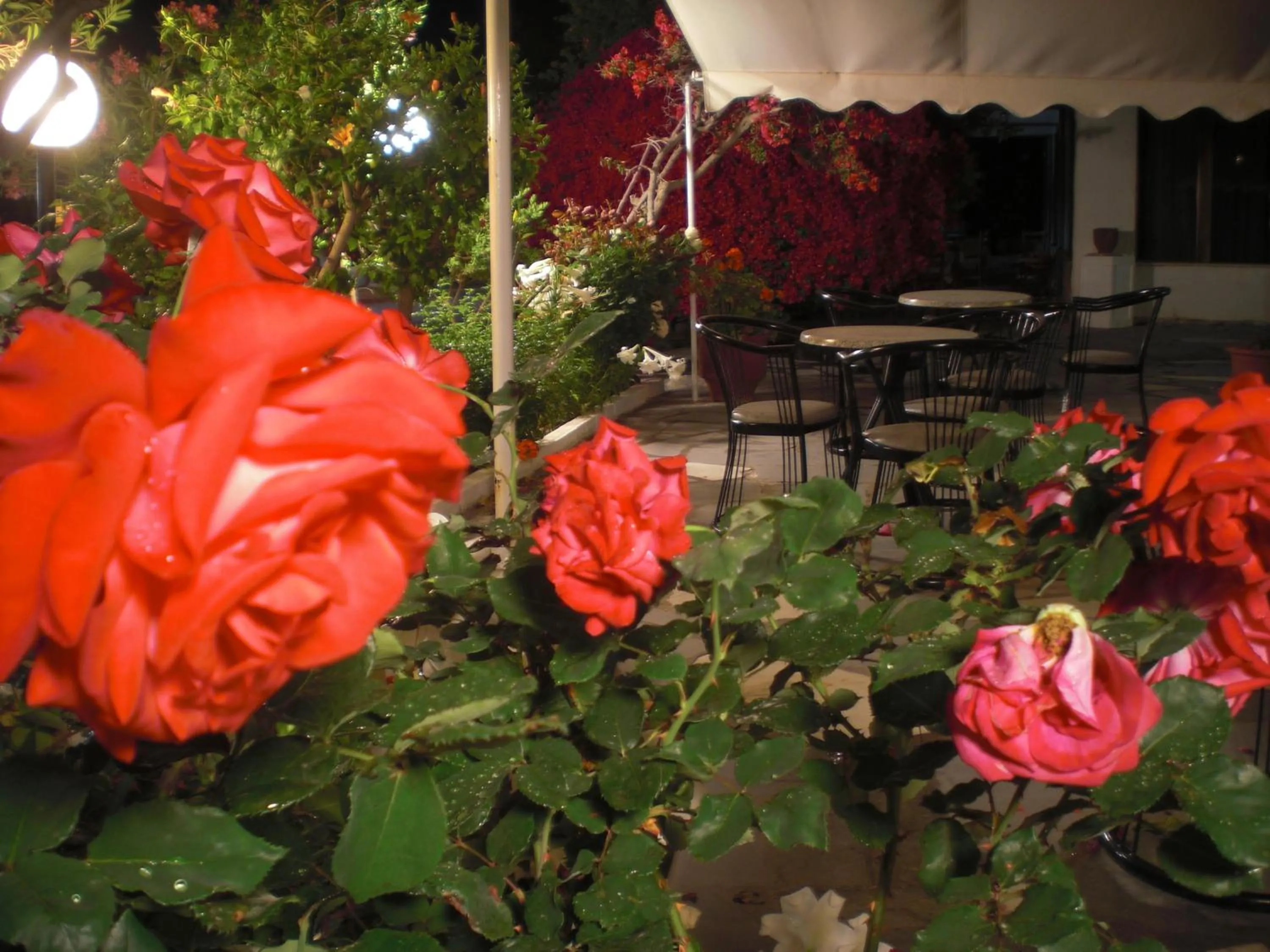 Garden in Esperides Hotel