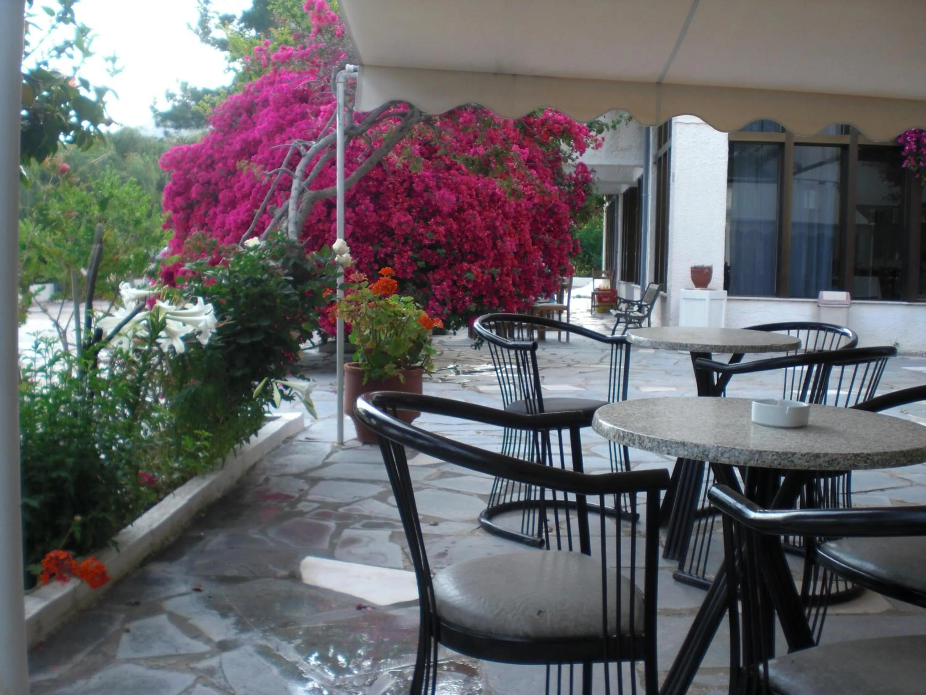 Garden in Esperides Hotel