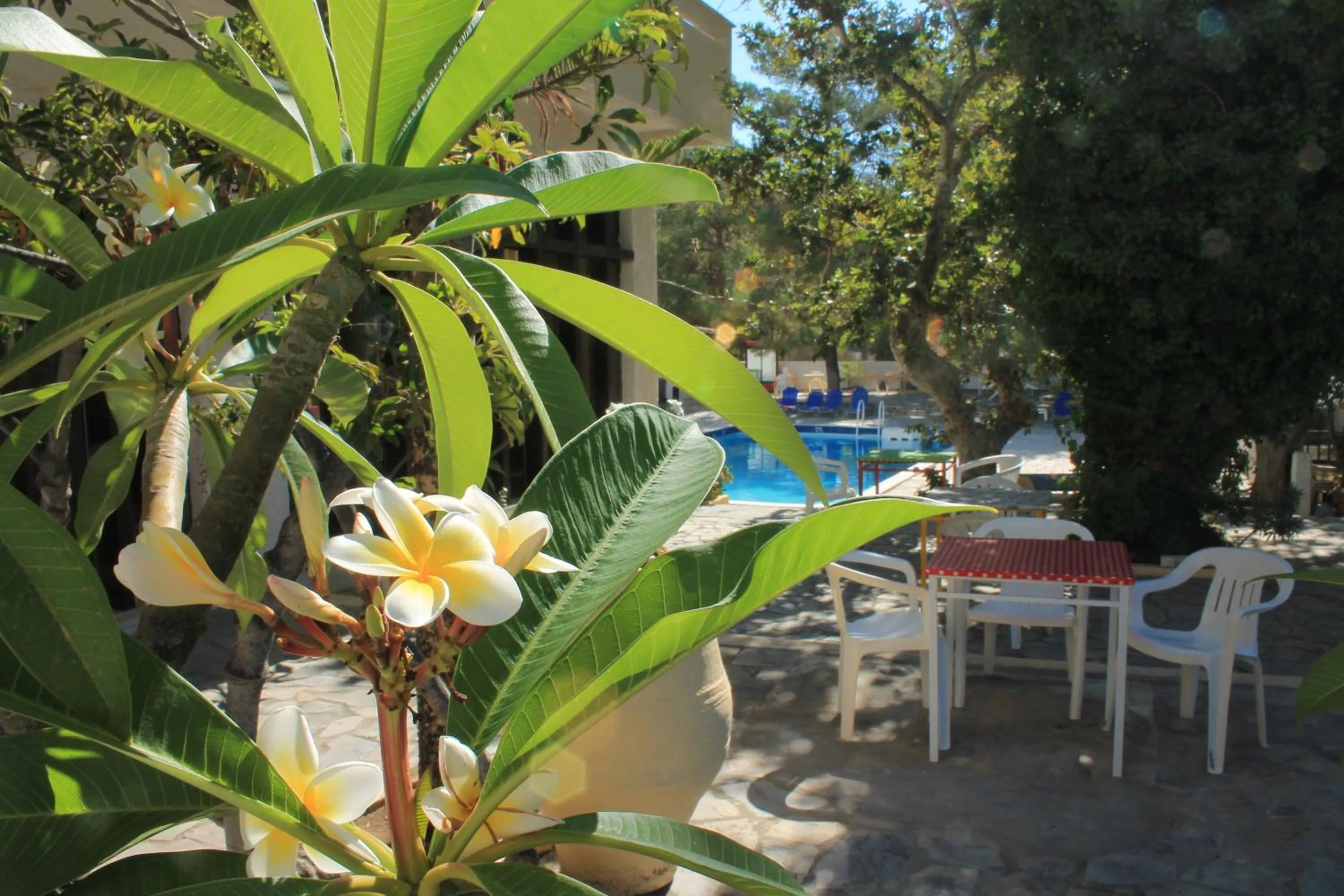 Patio in Esperides Hotel