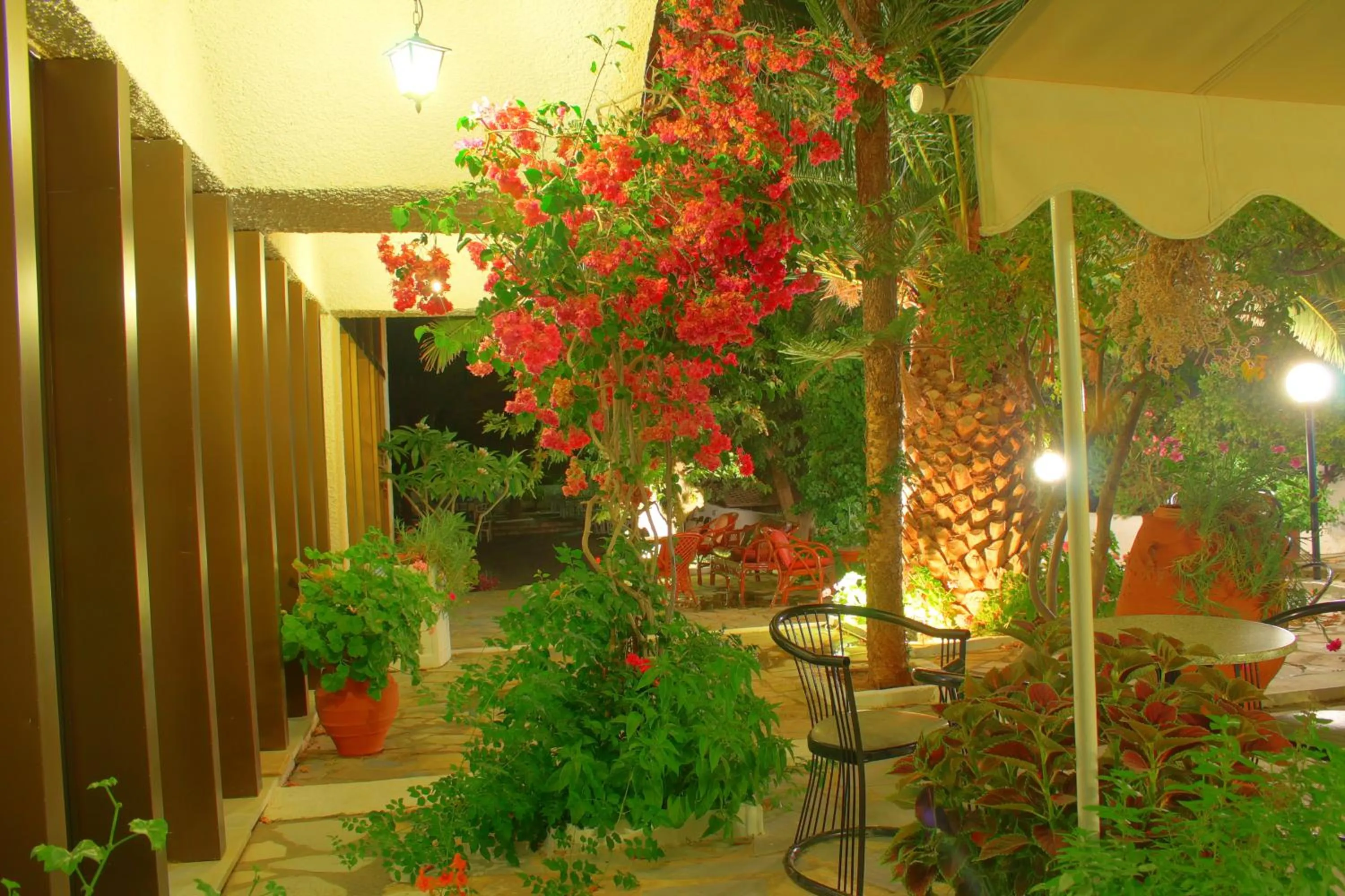 Garden in Esperides Hotel