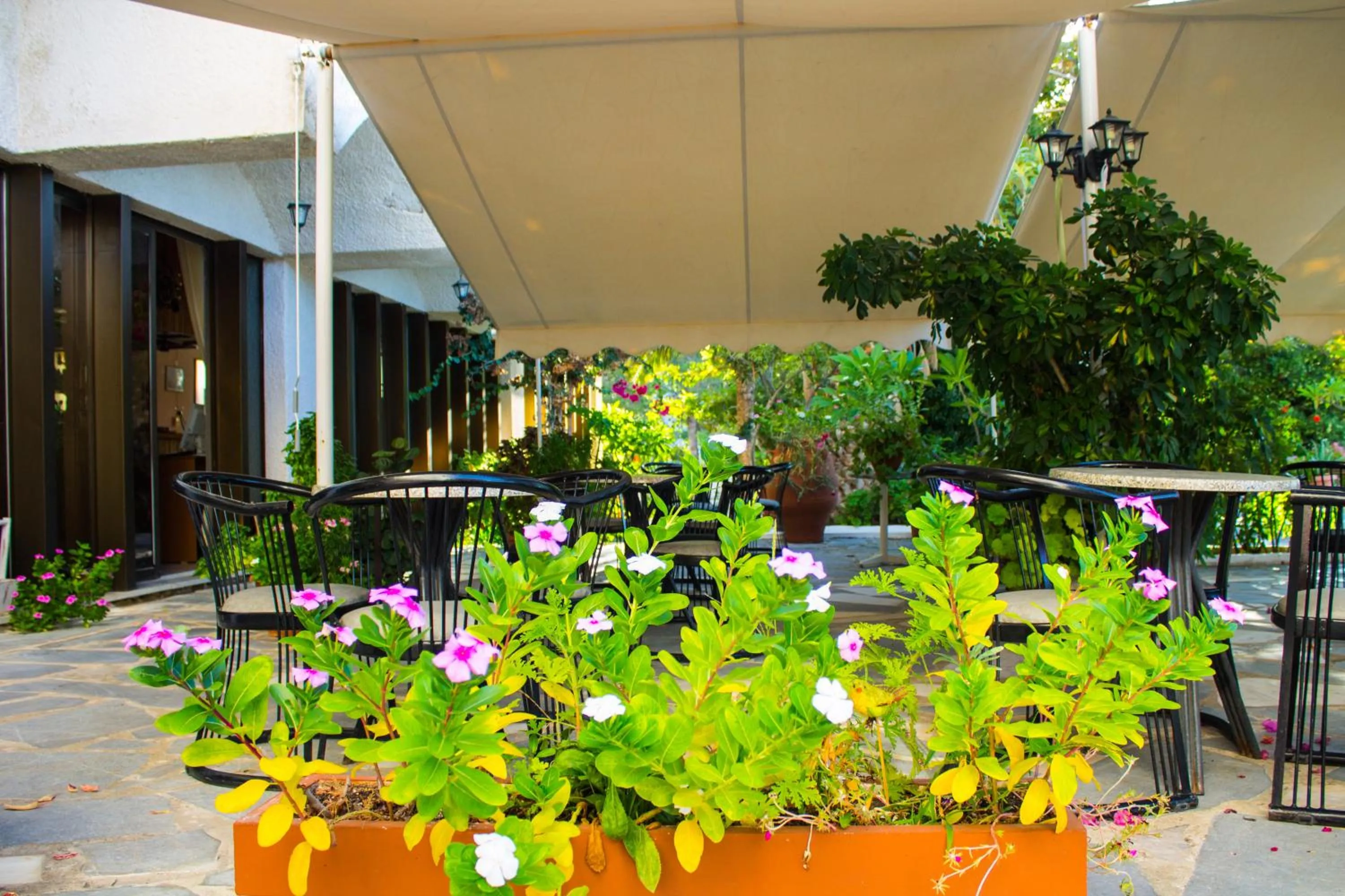 Balcony/Terrace in Esperides Hotel