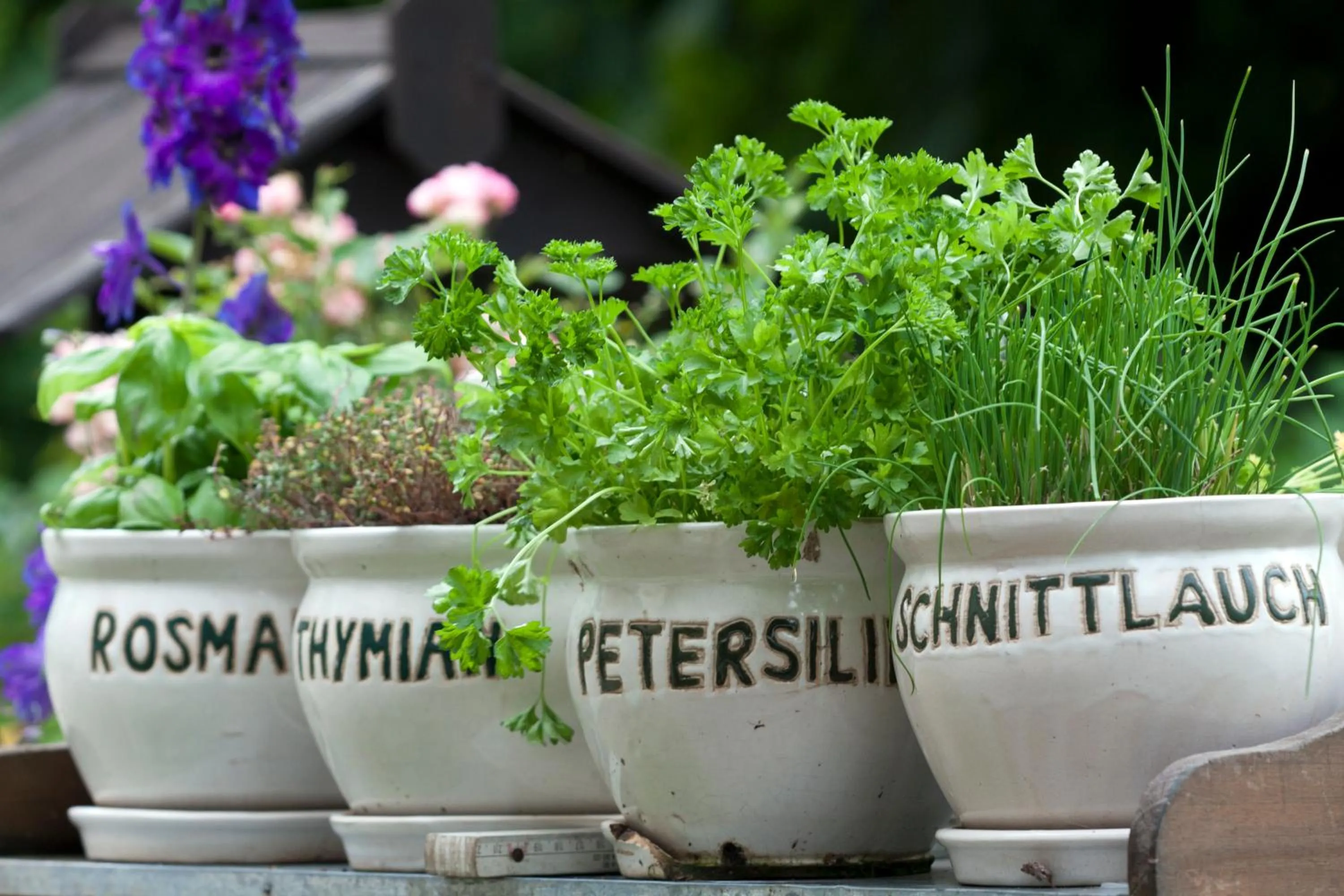 Garden in Frühstücks Pension Zum Postillion