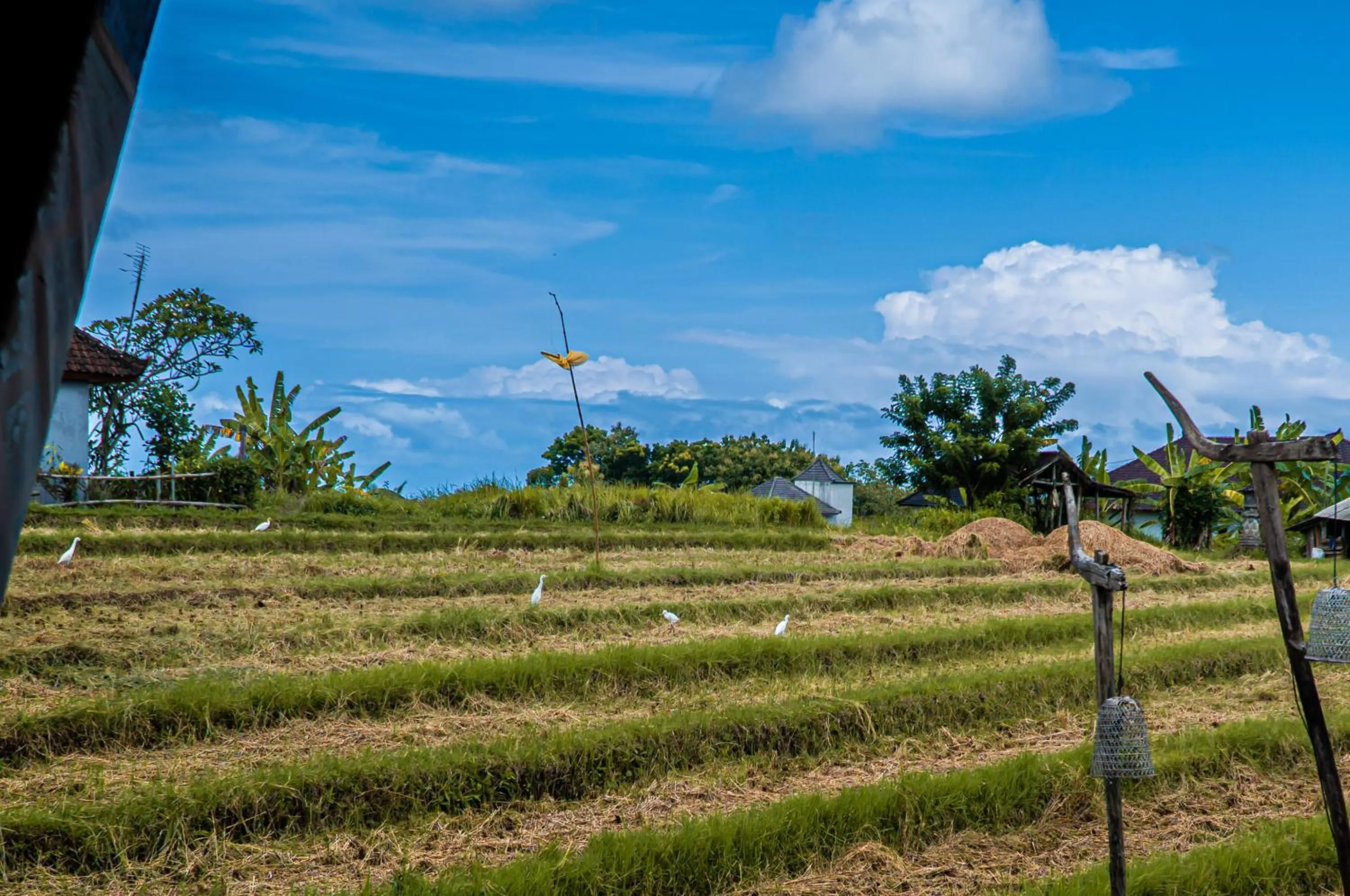 View (from property/room) in Umadhatu Resort by Amerta