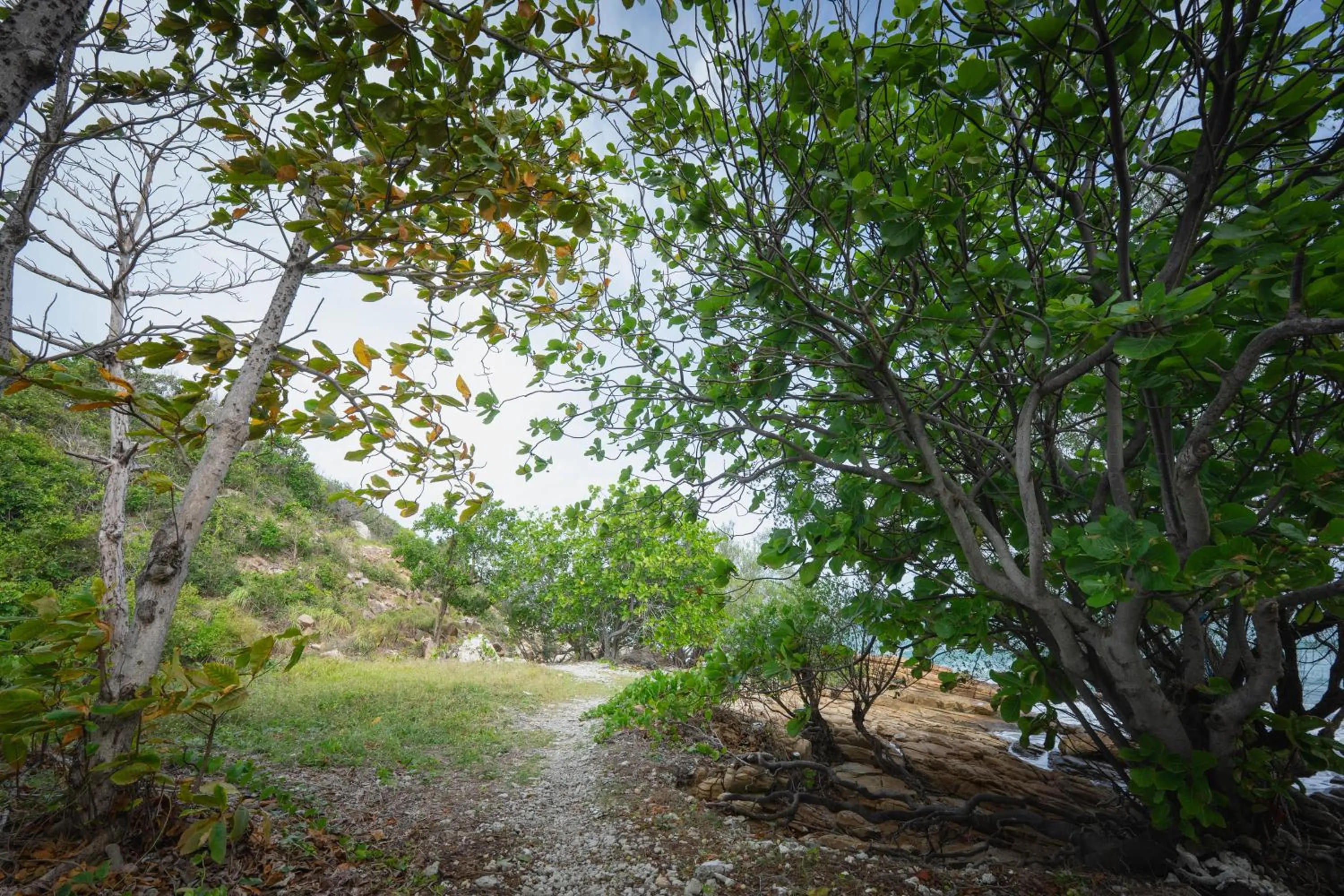 Natural landscape in Kira Baya Koh Samed