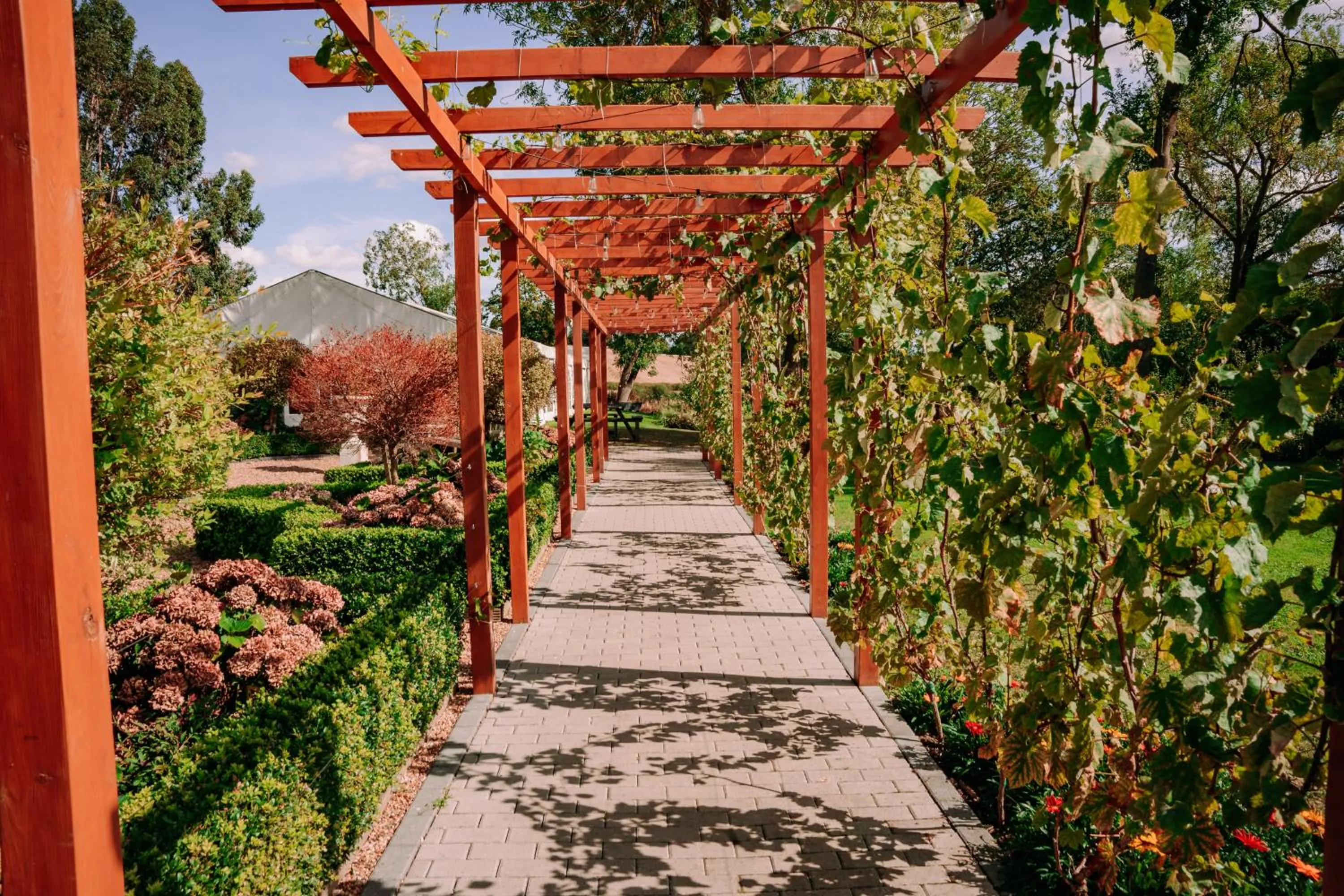 Garden in B&B Downham Hall