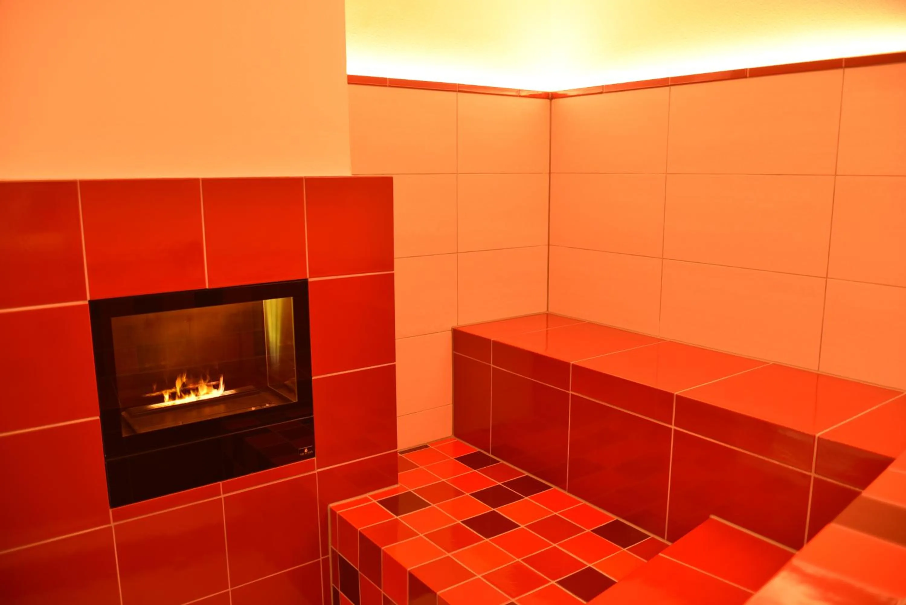 Sauna in Romantik Hotel Fischerwiege