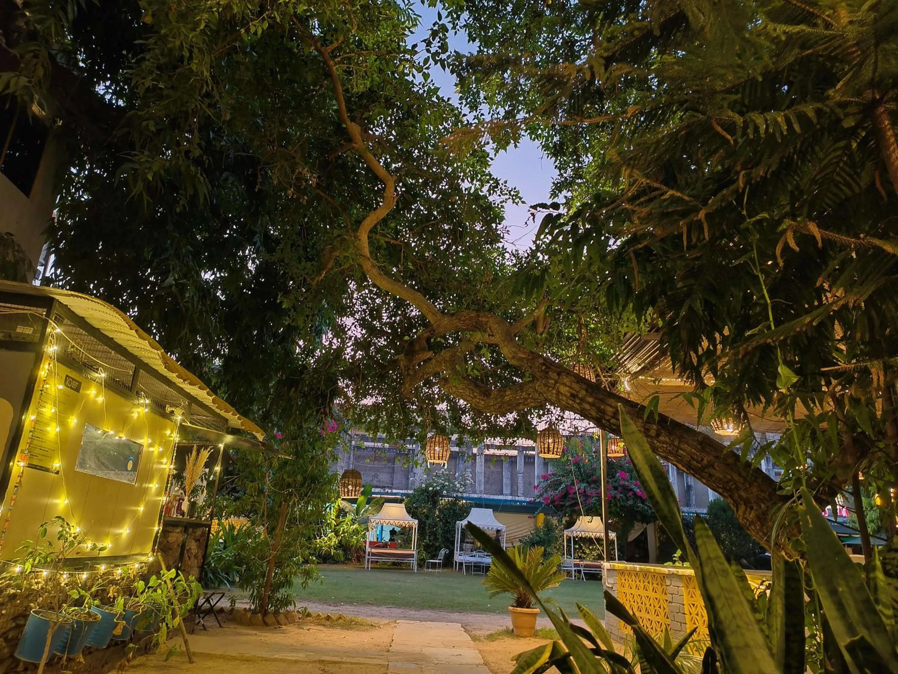 Natural landscape in Elephant Pushkar
