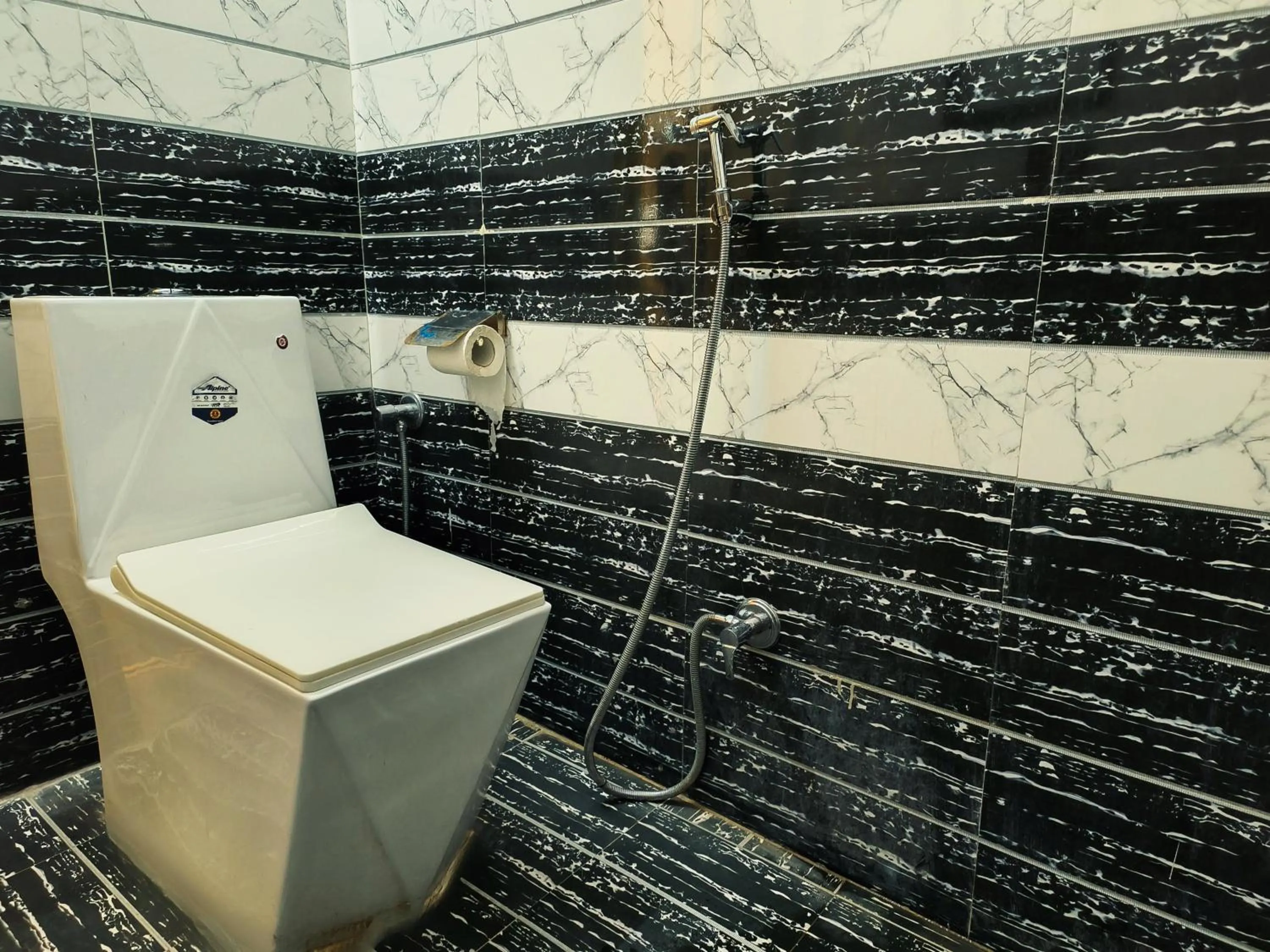 Toilet in Elephant Pushkar