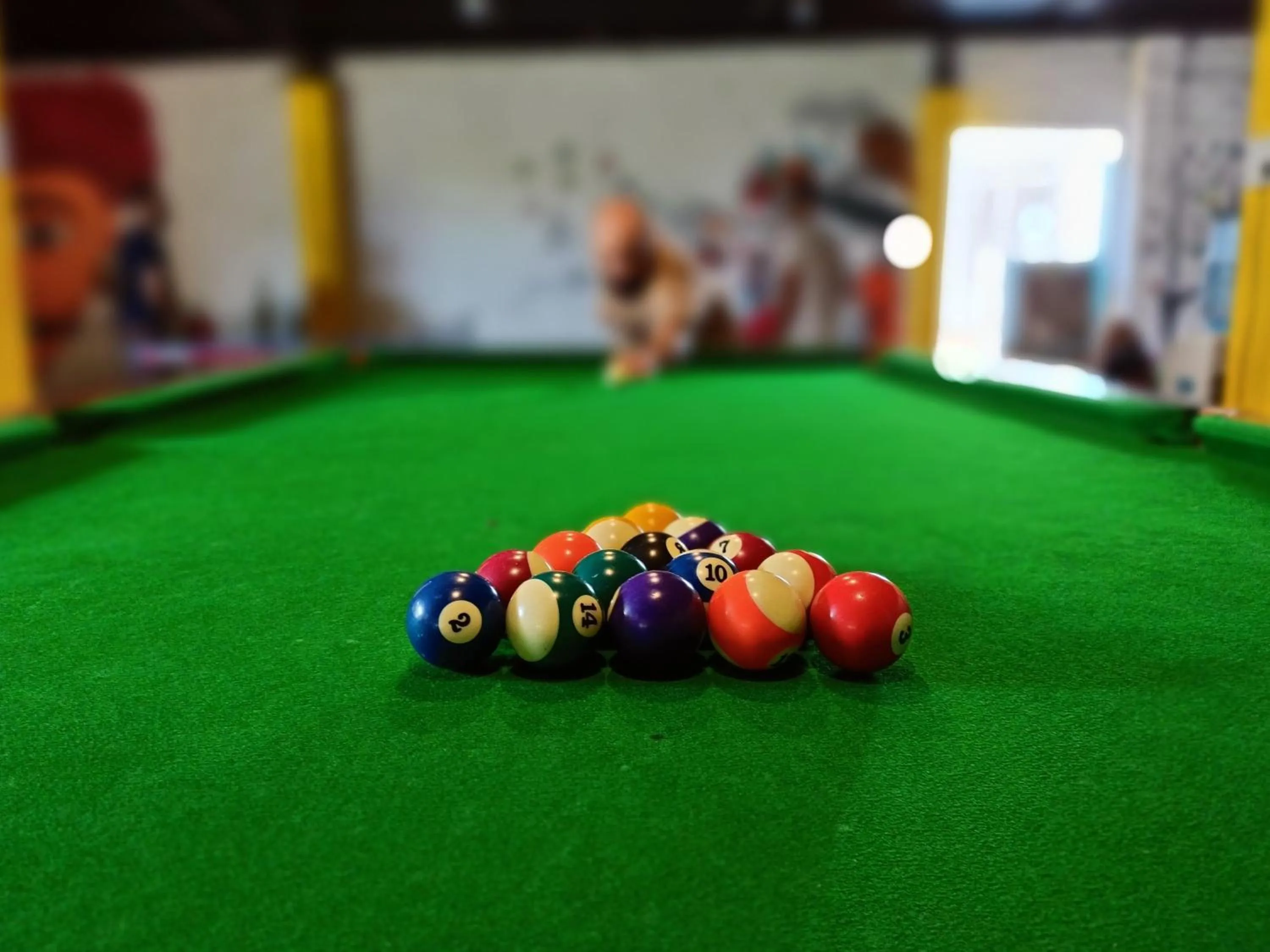 Game Room in Elephant Pushkar