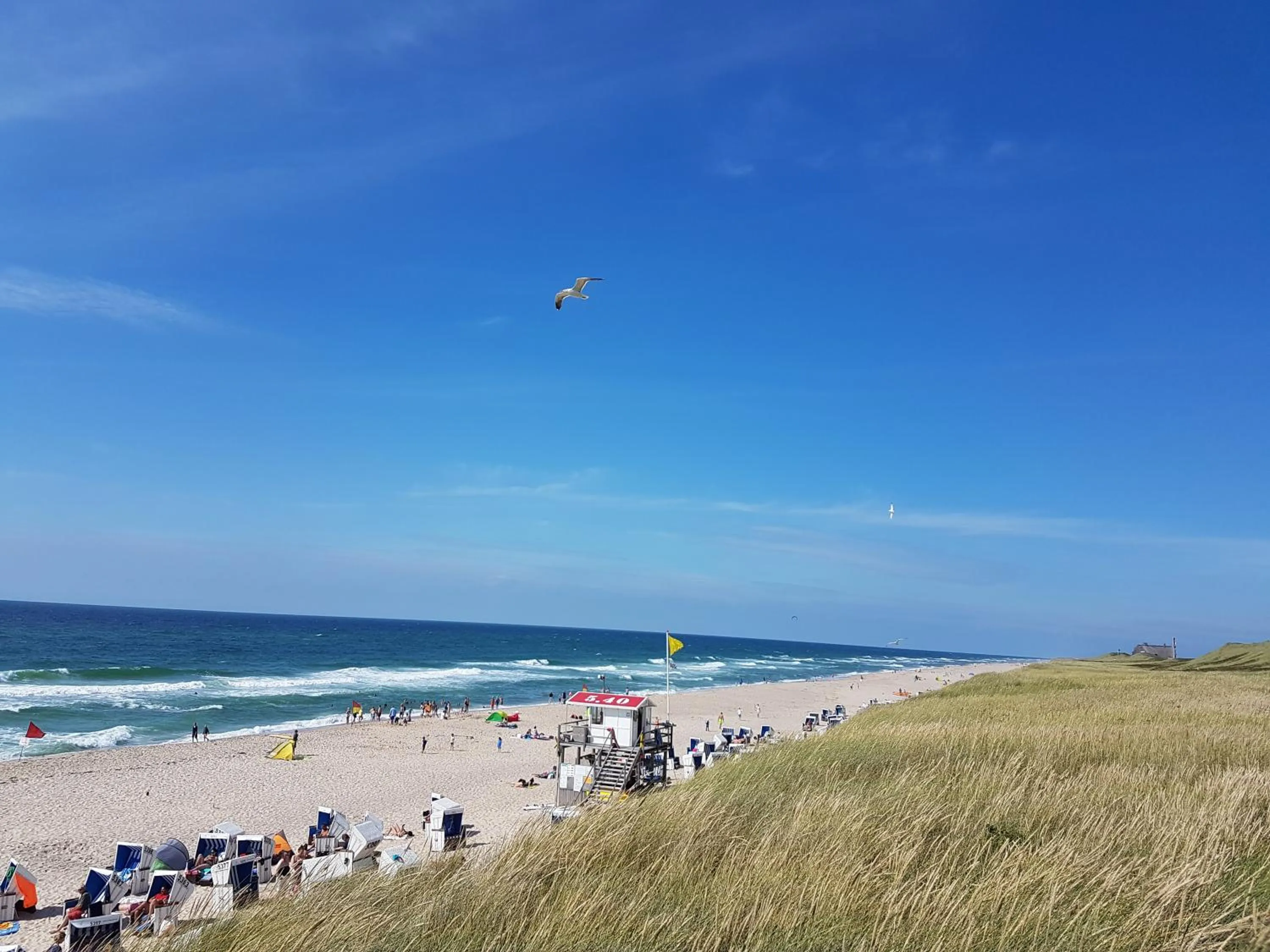 Beach in Hotel Duene