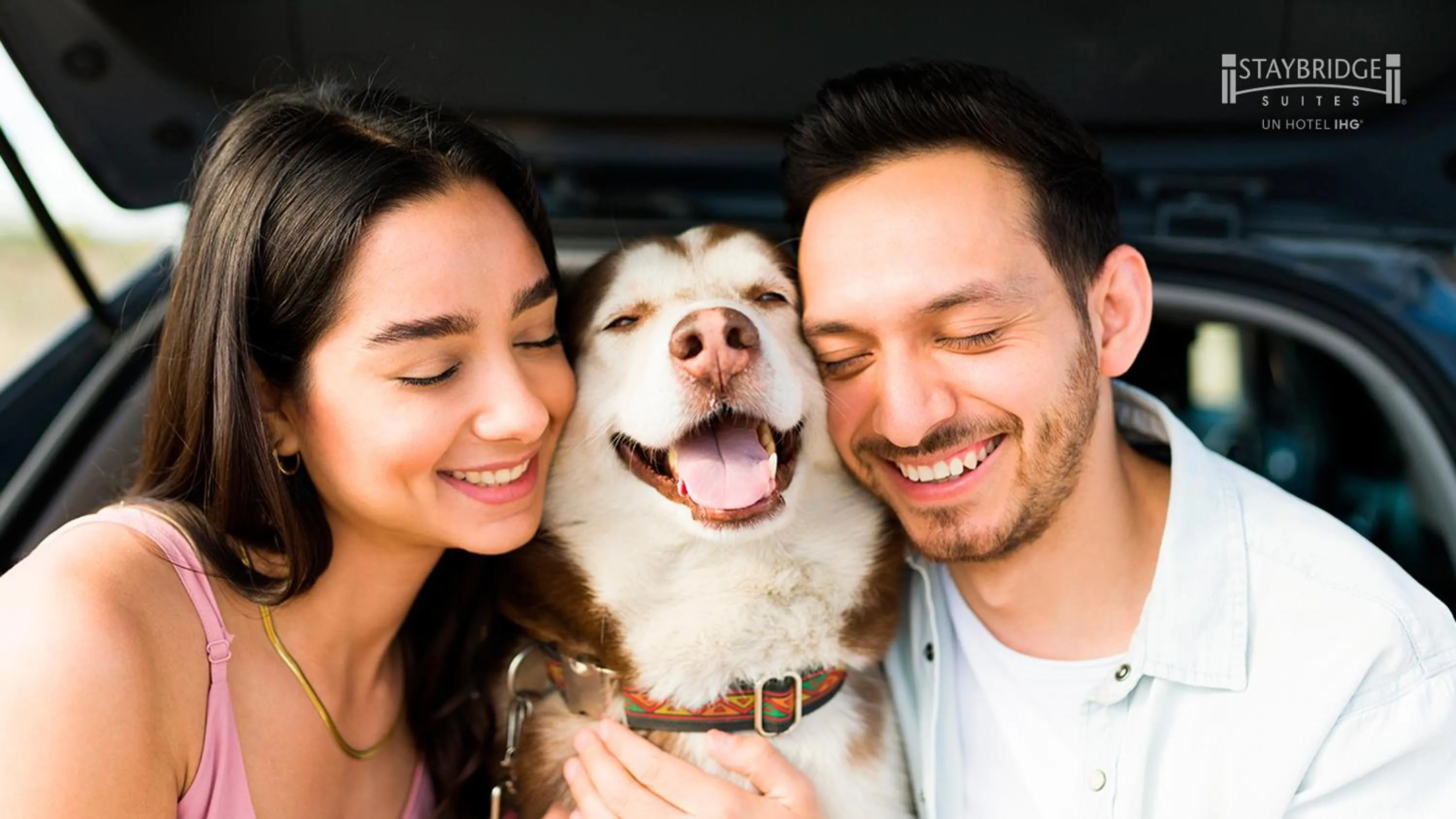 Other in Staybridge Suites - Irapuato by IHG