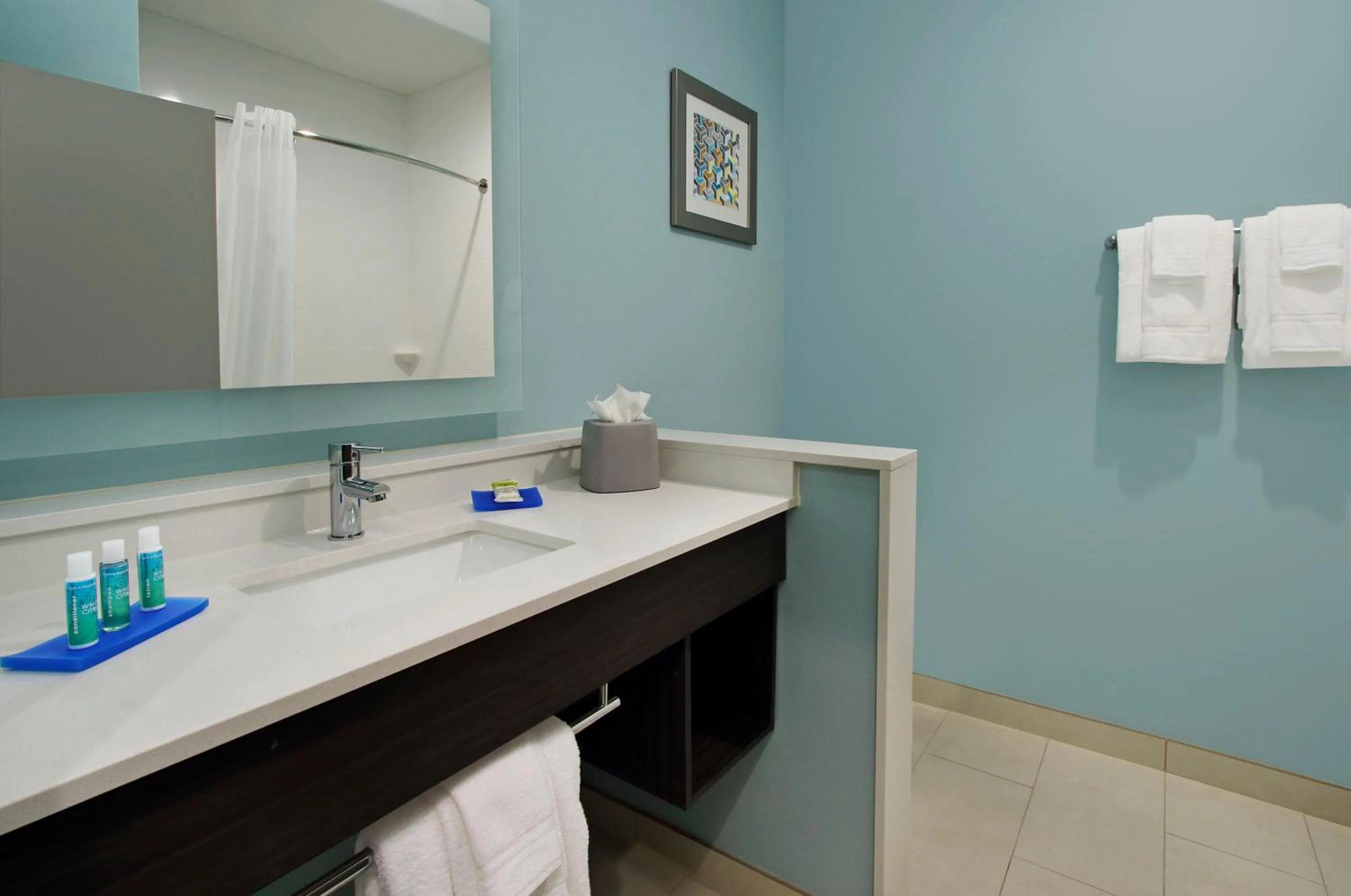 Bathroom in Holiday Inn Express & Suites - Lake Charles South Casino Area by IHG