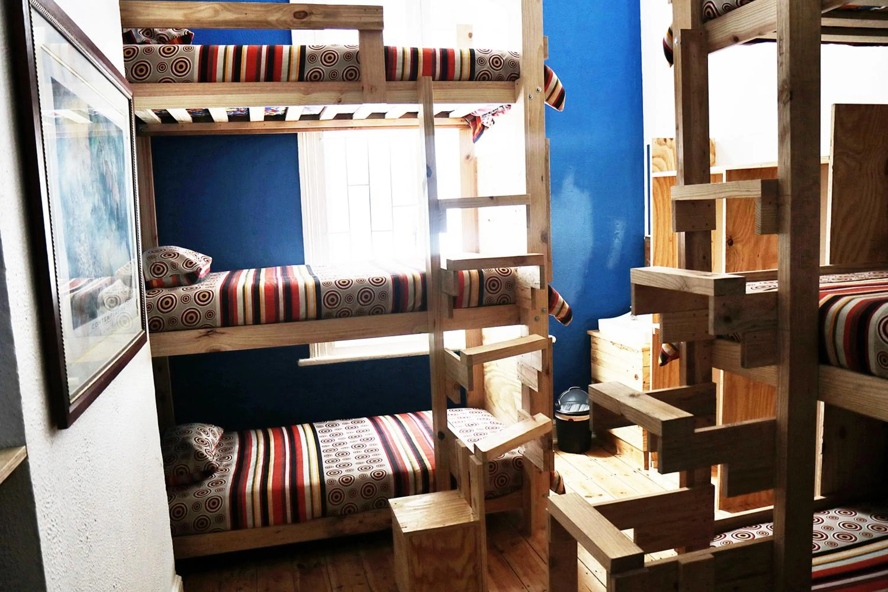 Bed in Urban Hive Backpackers