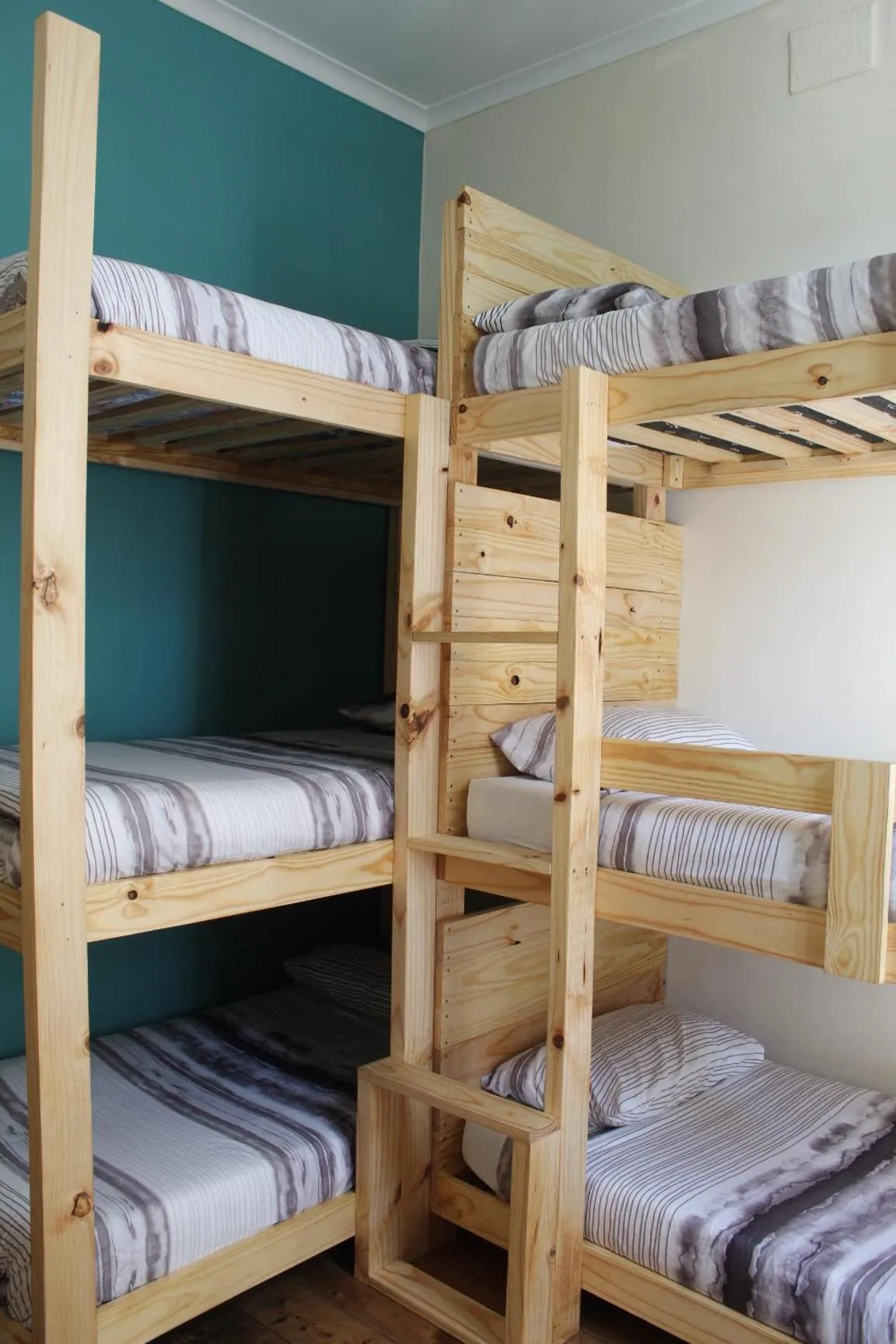 Bed in Urban Hive Backpackers