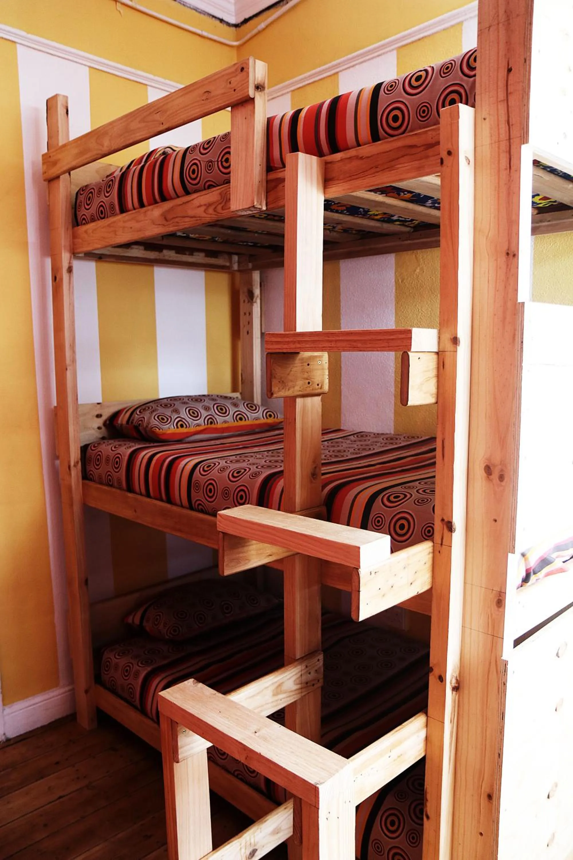 bunk bed, Bed in Urban Hive Backpackers