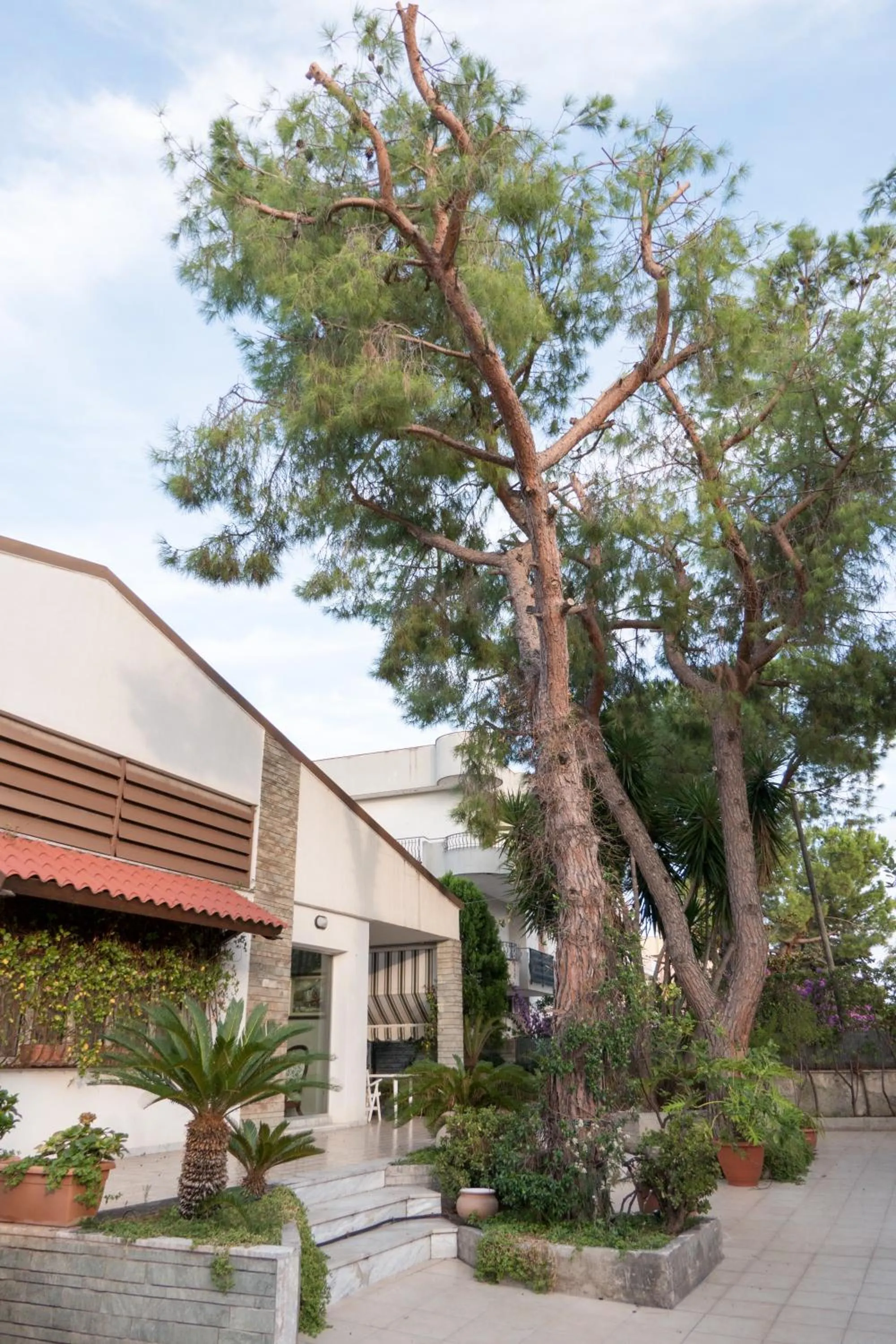 Property building in Yucca Camere & Suite