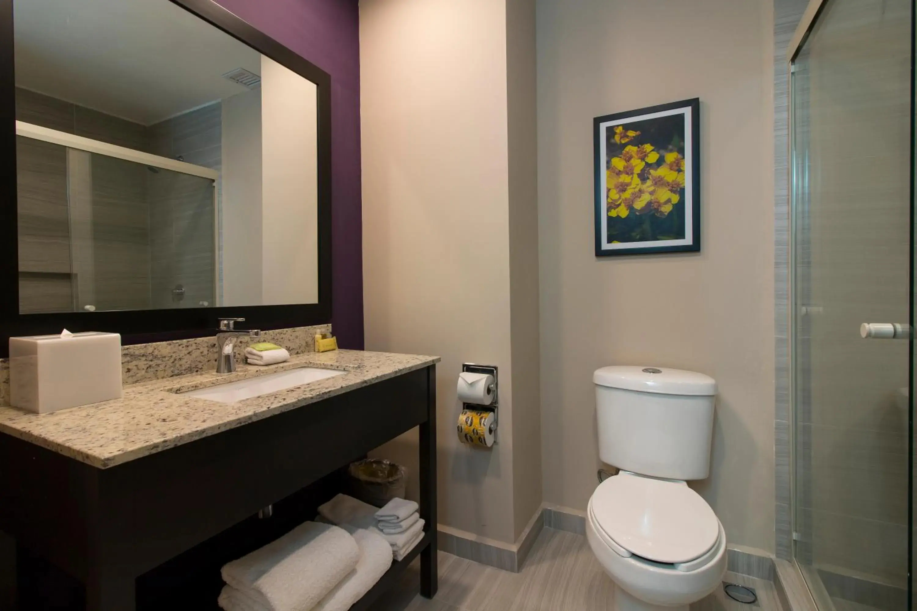 King Suite - Non-Smoking in CHN Hotel Monterrey Aeropuerto, Trademark by Wyndham King Suite - Non-Smoking in CHN Hotel Monterrey Aeropuerto, Trademark by Wyndham