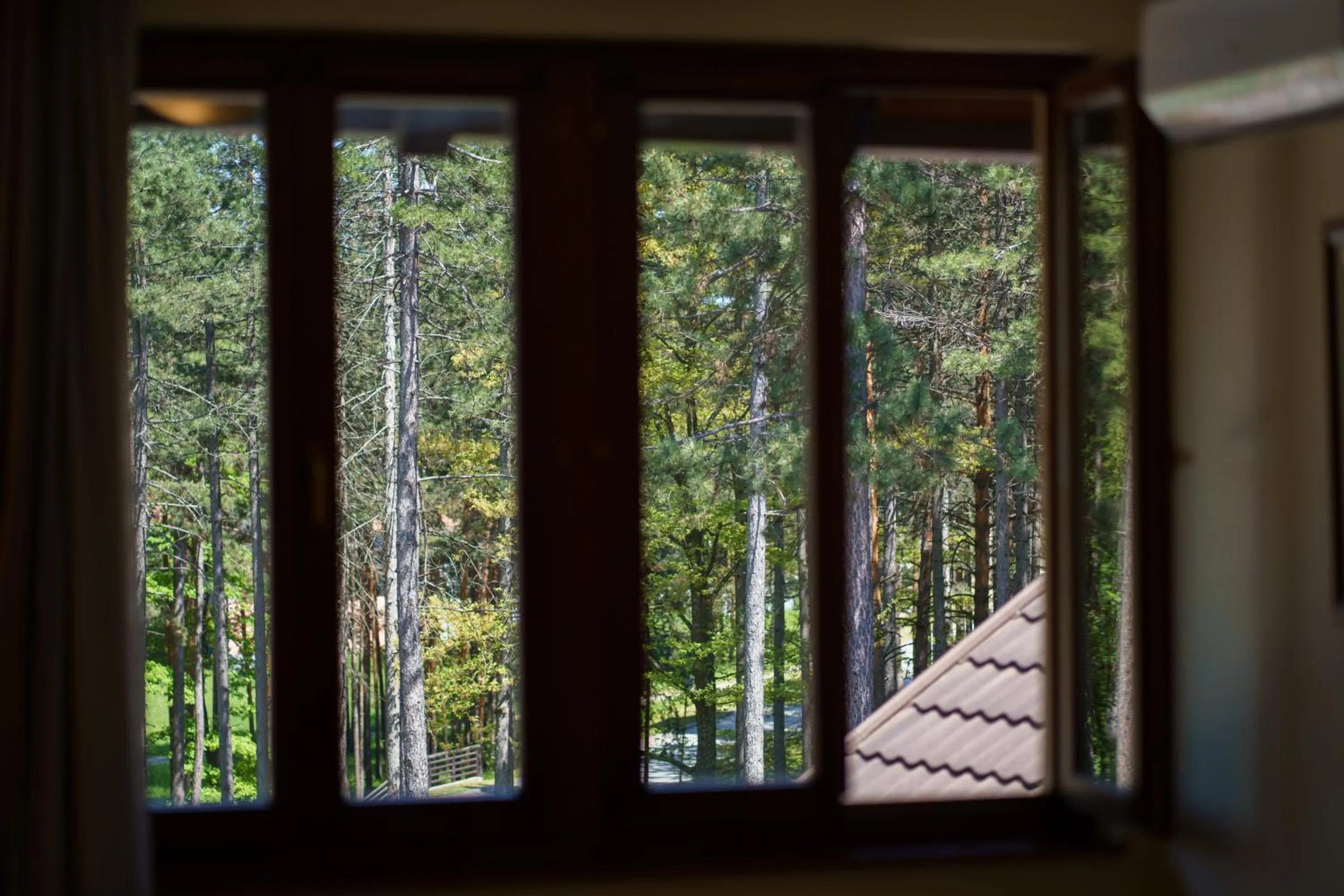 View (from property/room) in Hotel Zlatiborska Noc