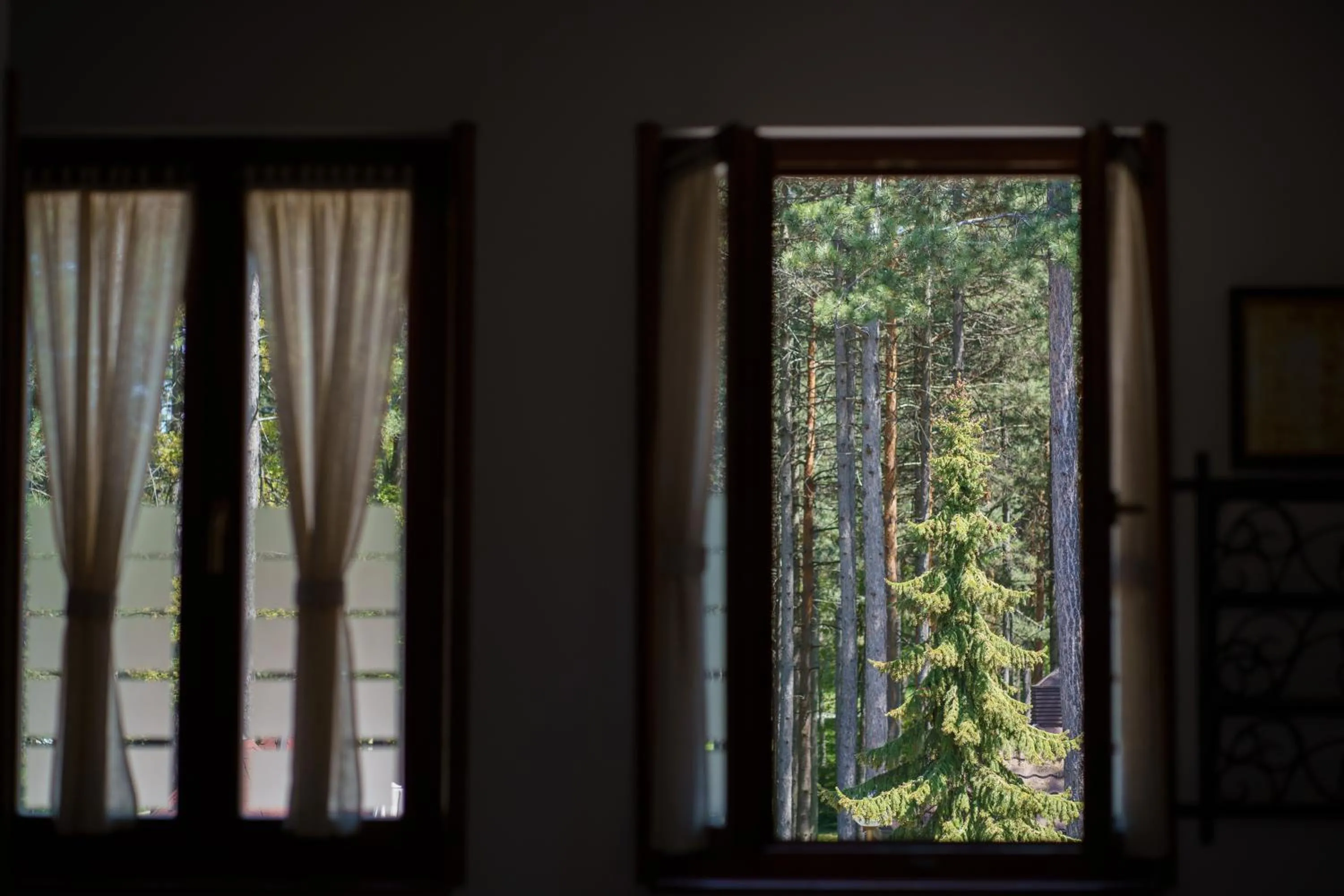 View (from property/room) in Hotel Zlatiborska Noc