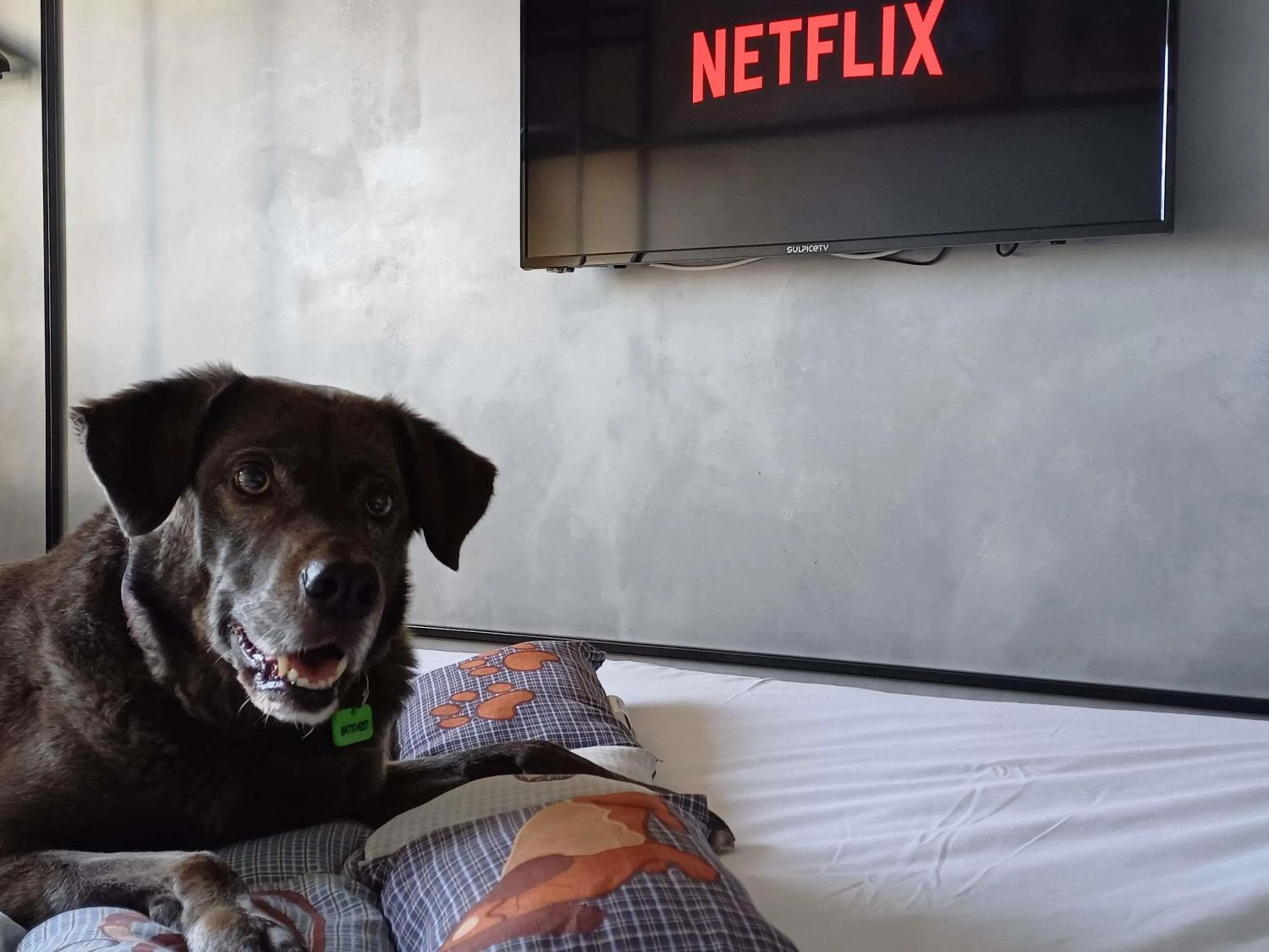 Bedroom in Ibis Hotel Alicante