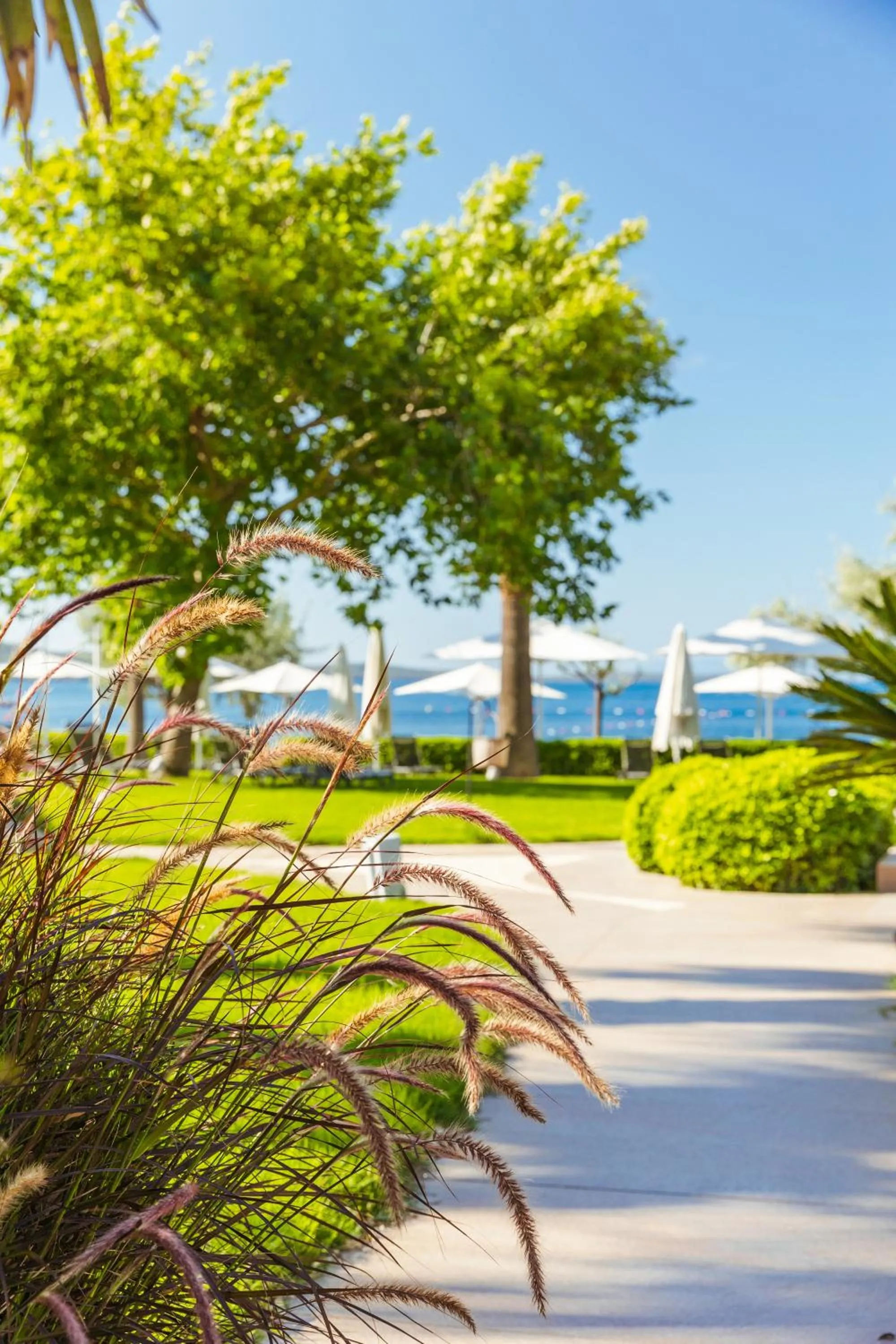 Garden in Ortunc Hotel - Cunda Island (Adult Only)