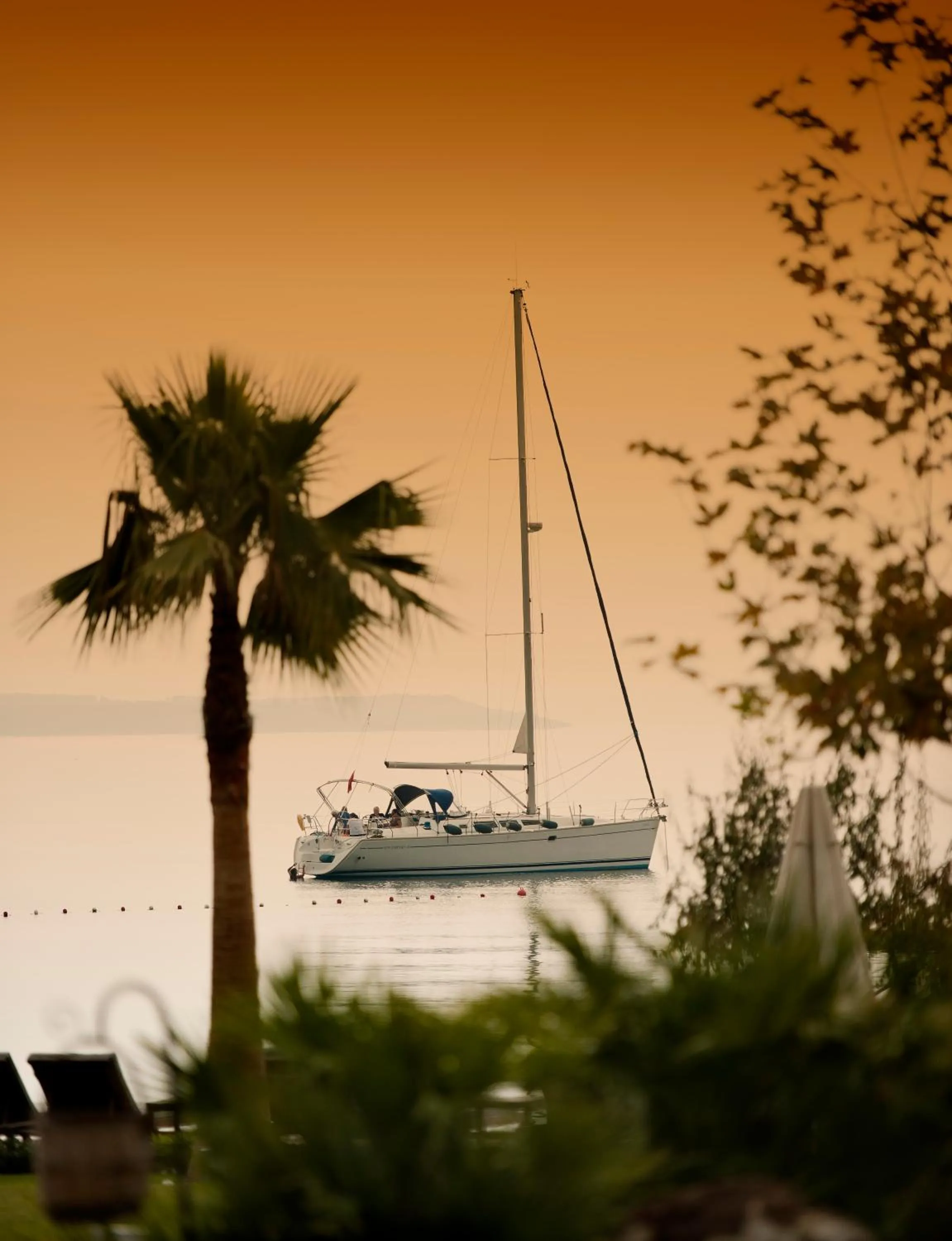 Natural landscape in Ortunc Hotel - Cunda Island (Adult Only)