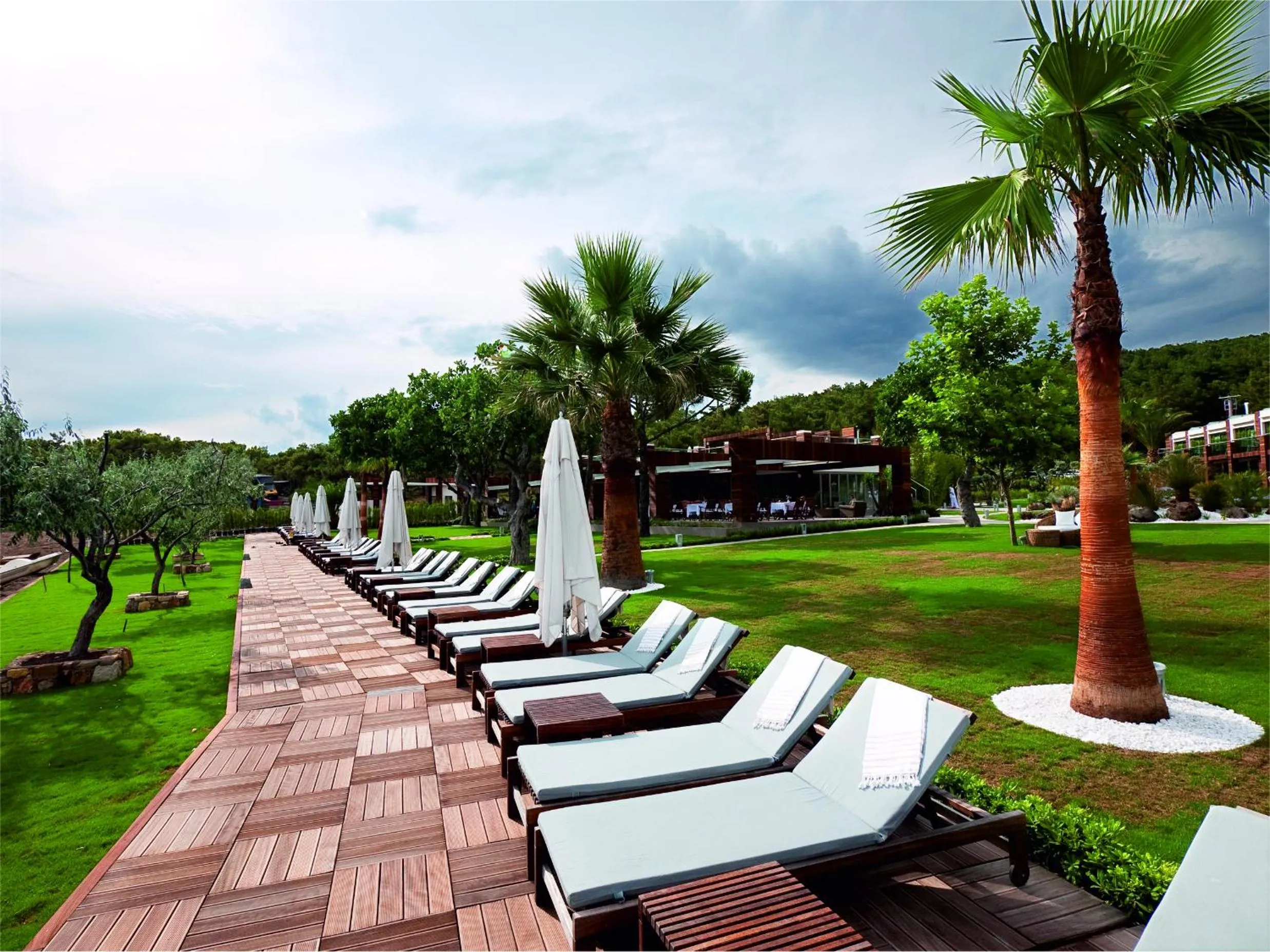 Garden in Ortunc Hotel - Cunda Island (Adult Only)