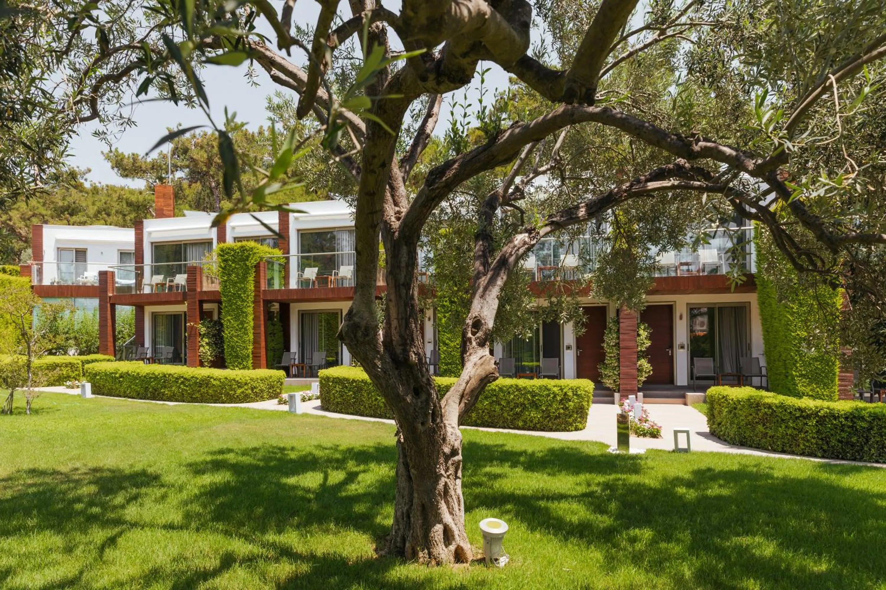 Garden in Ortunc Hotel - Cunda Island (Adult Only)