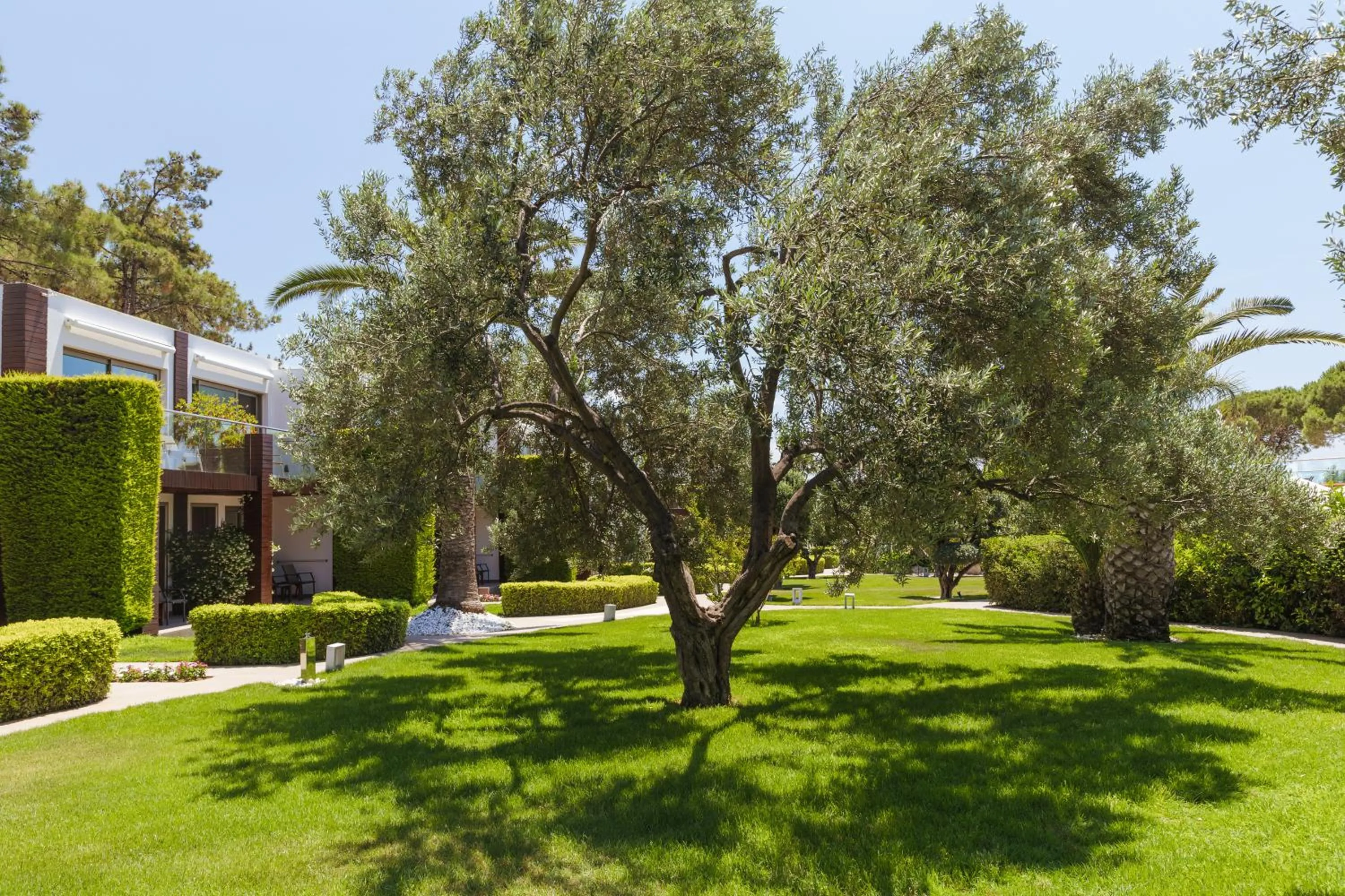 Garden in Ortunc Hotel - Cunda Island (Adult Only)