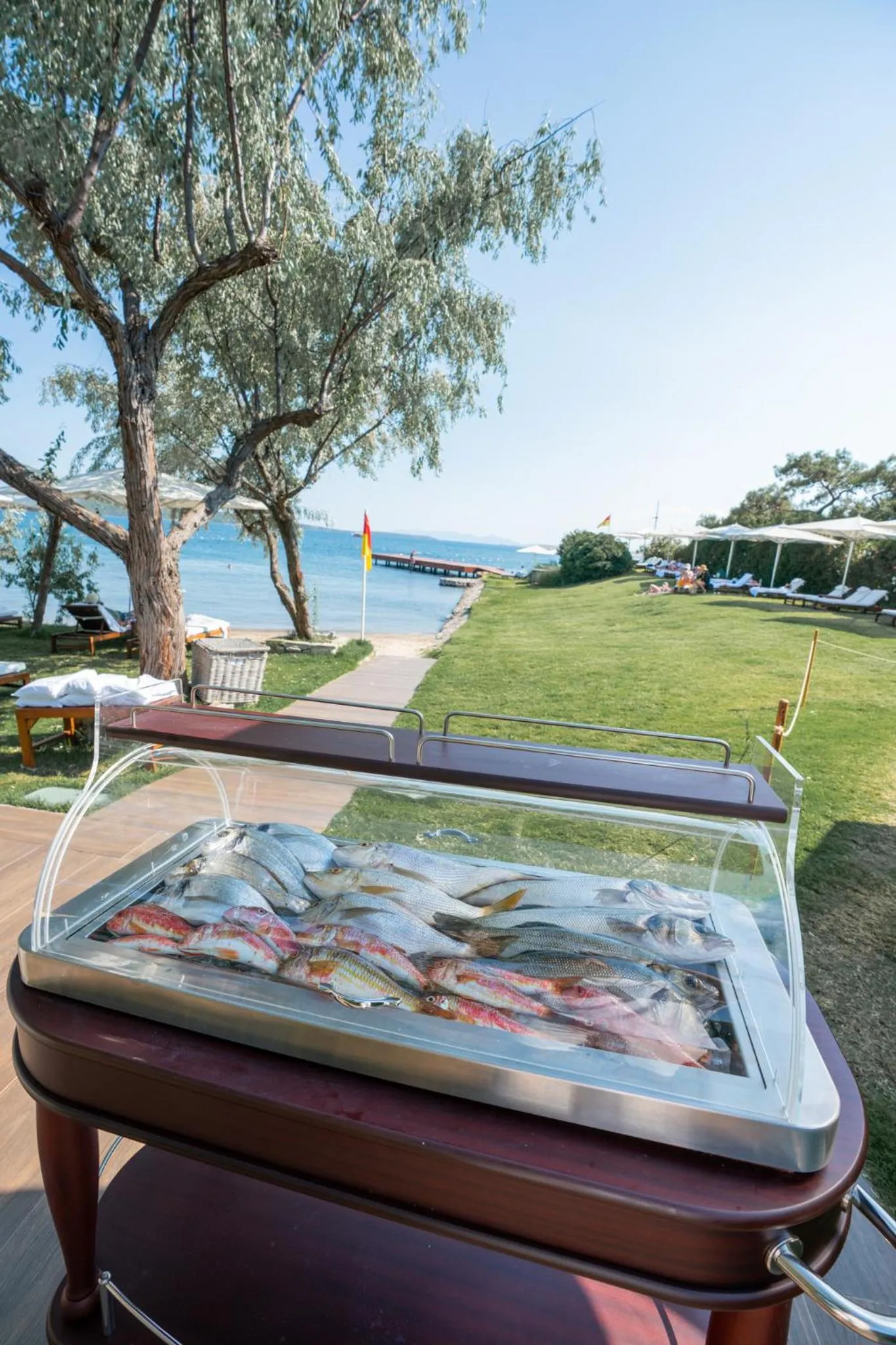 Restaurant/places to eat in Ortunc Hotel - Cunda Island (Adult Only)