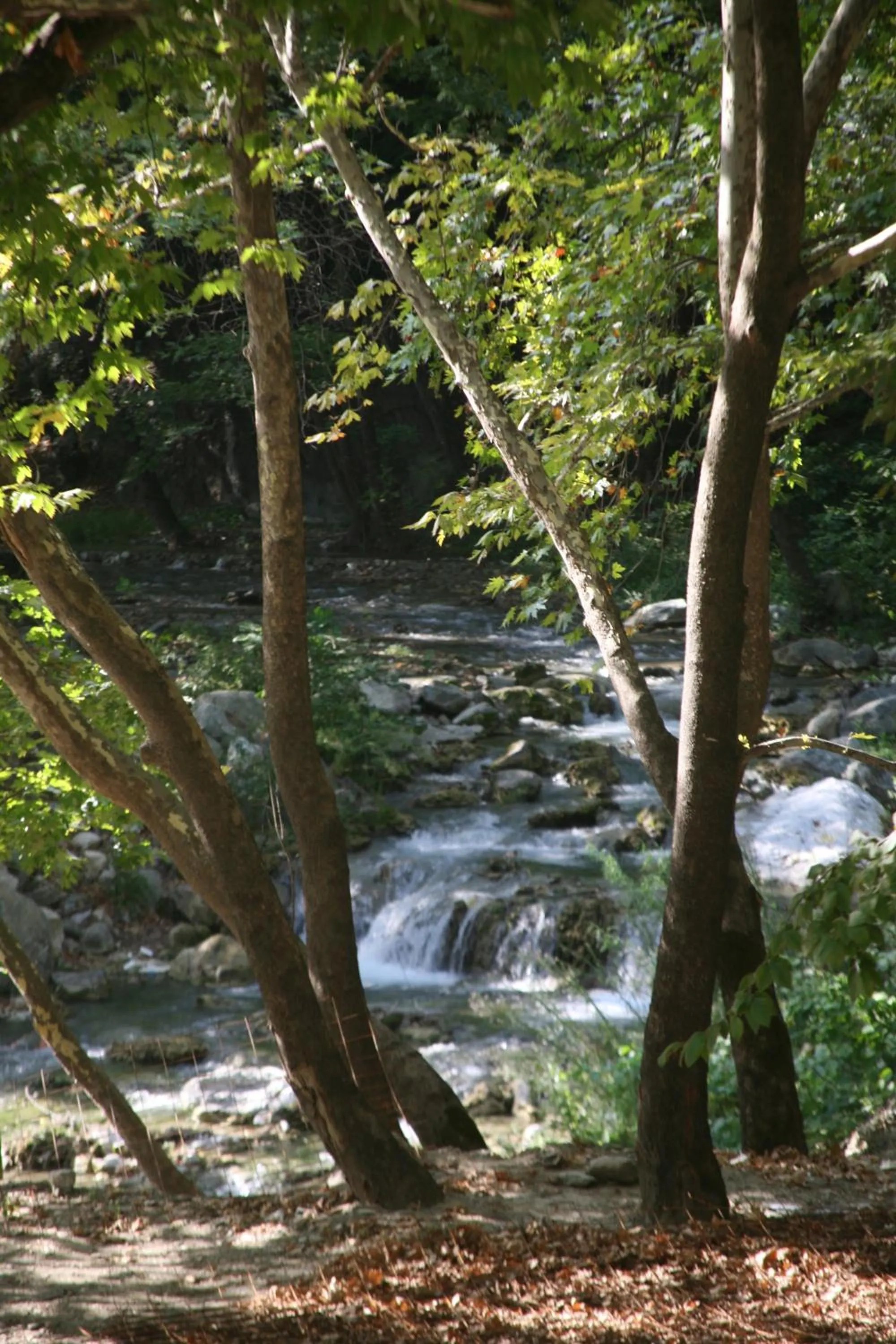 Natural landscape in Roes Suites