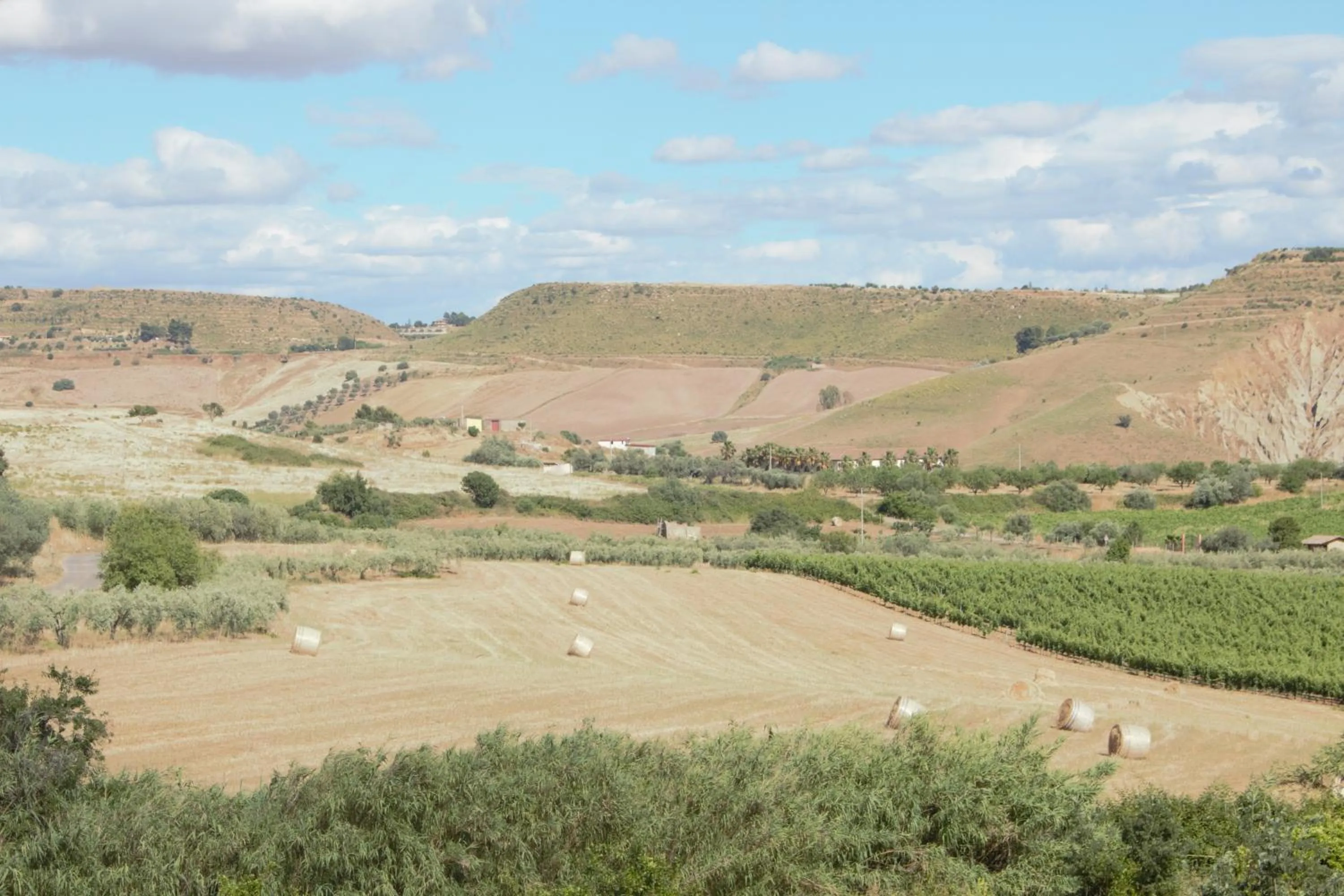 Natural landscape in Colle San Mauro