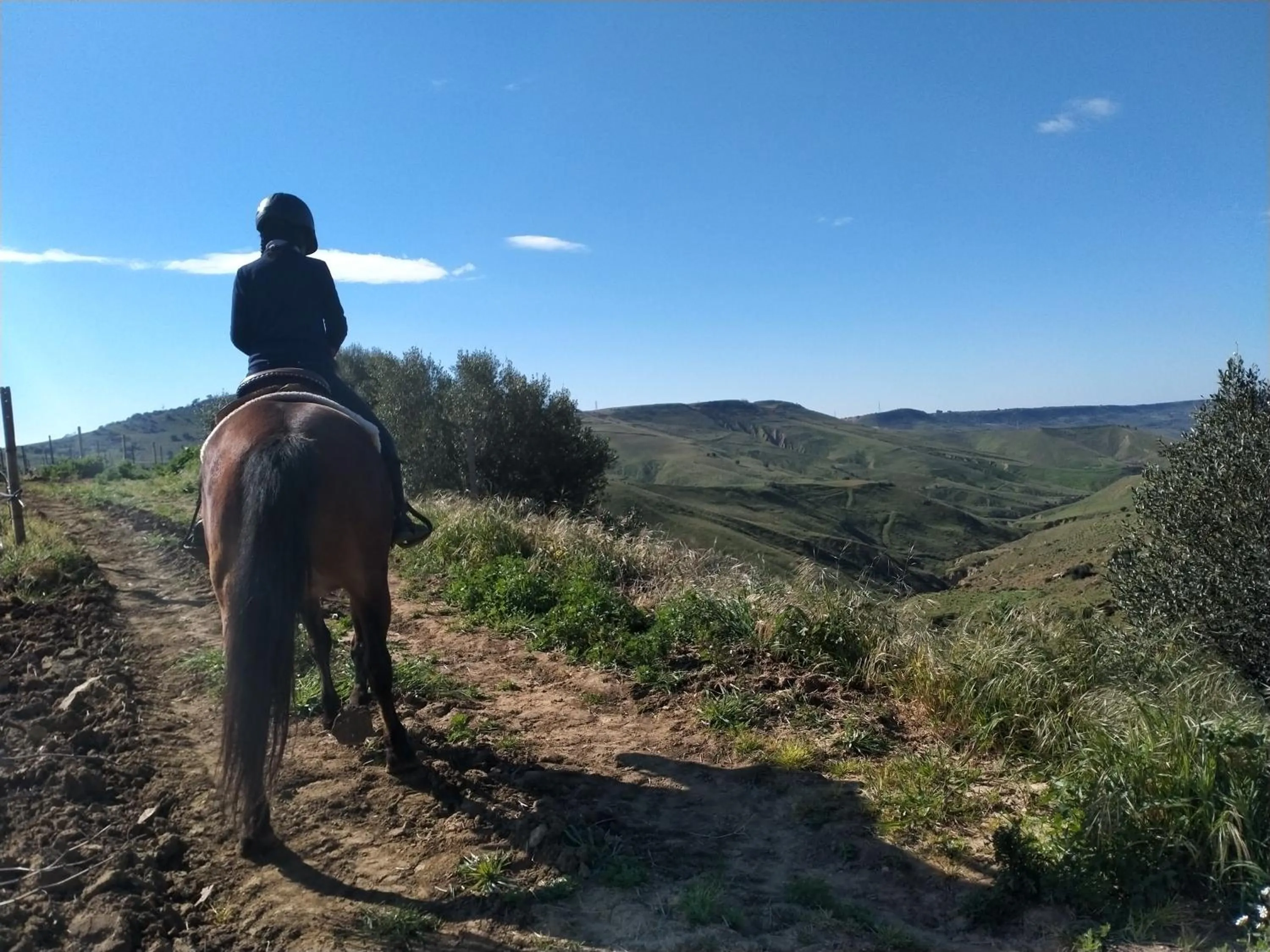 Natural landscape in Colle San Mauro
