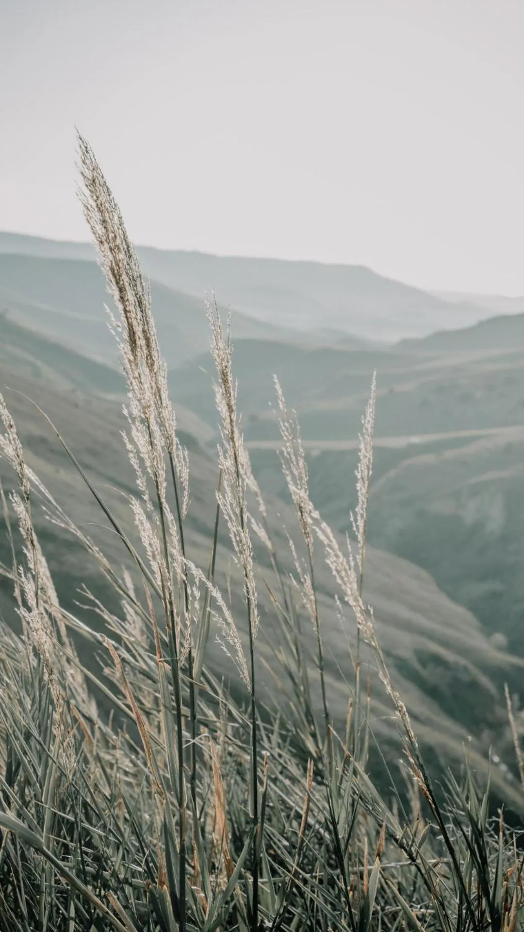 Bird's eye view in Colle San Mauro