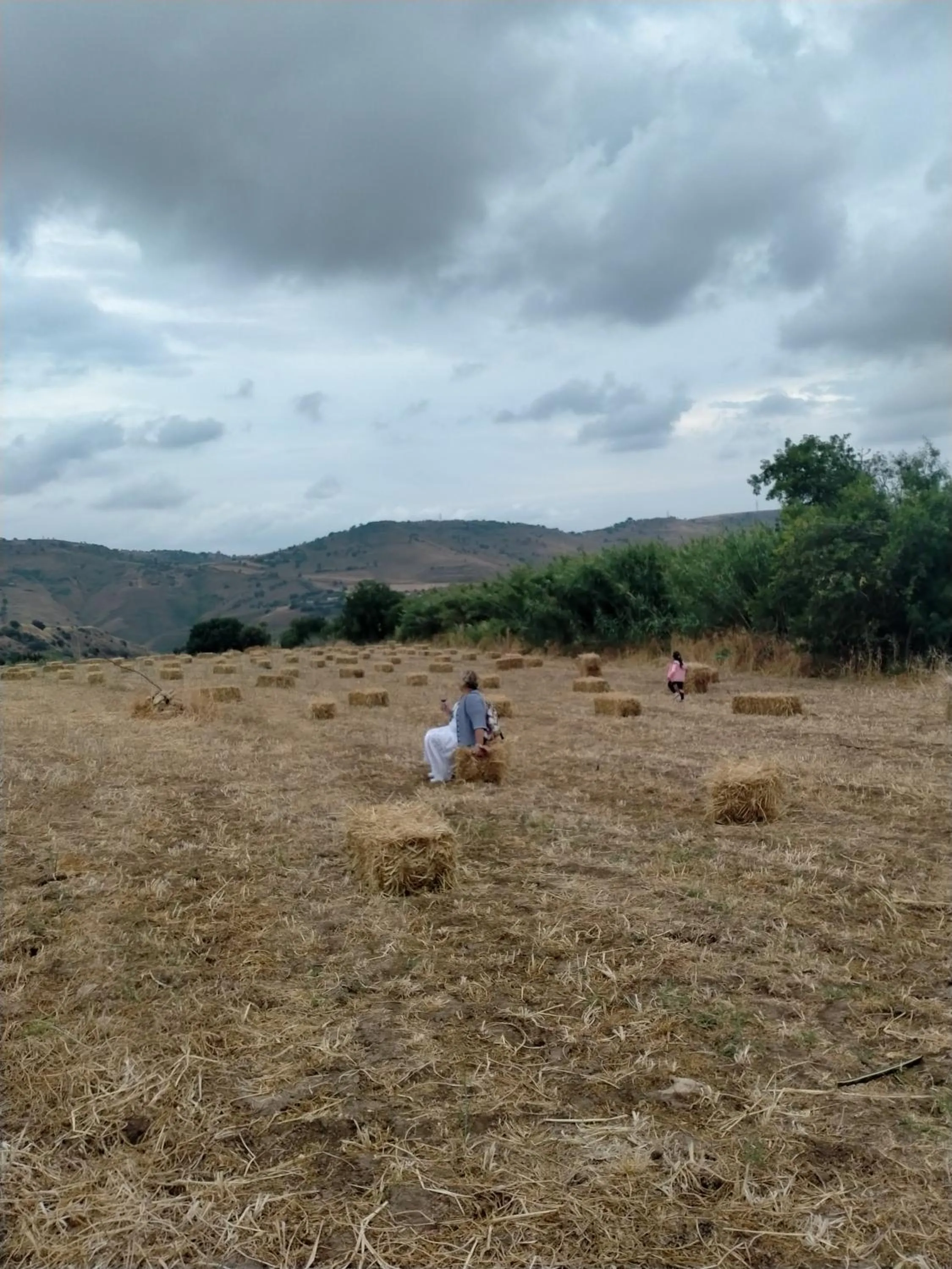 Natural landscape in Colle San Mauro
