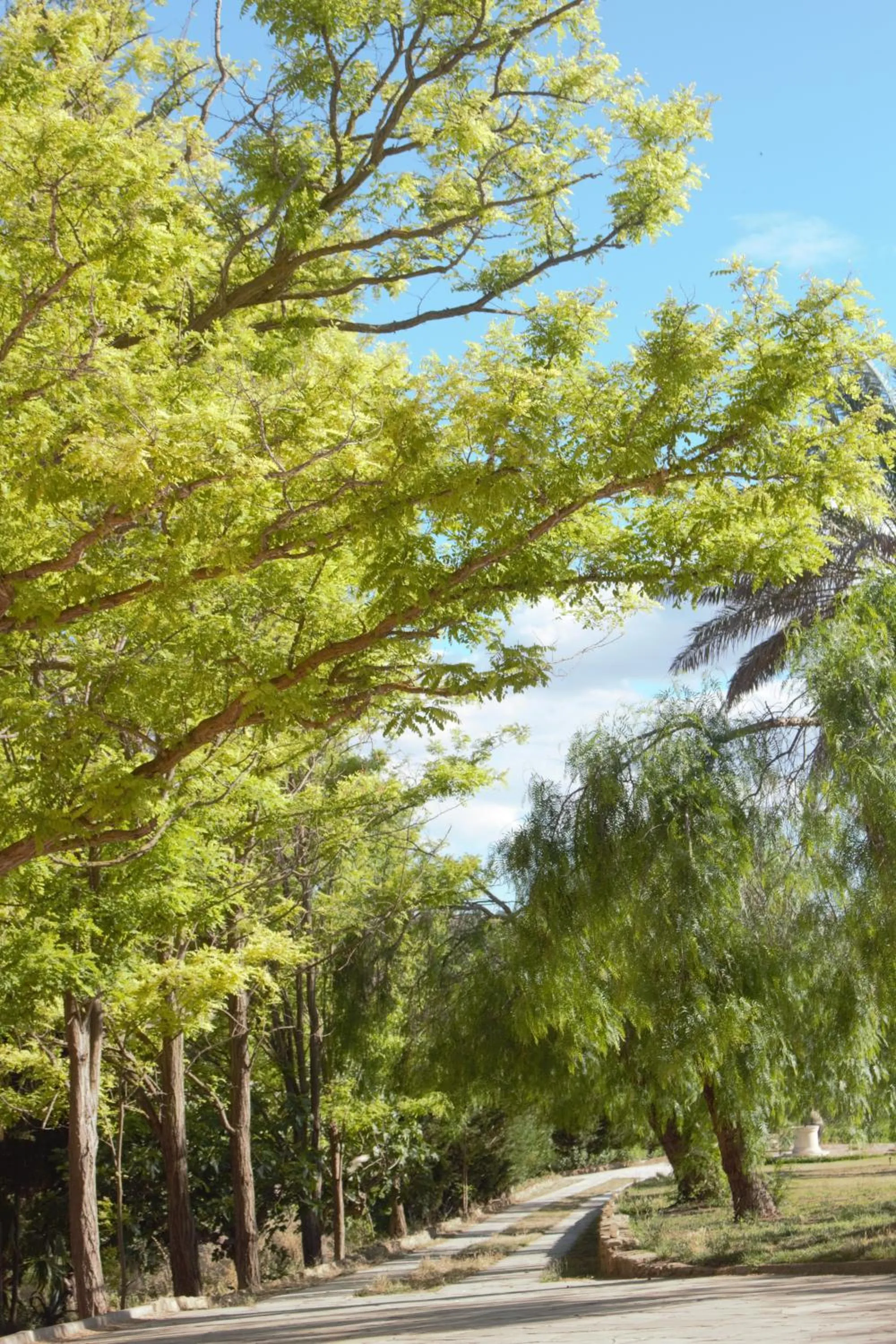 Natural landscape in Colle San Mauro