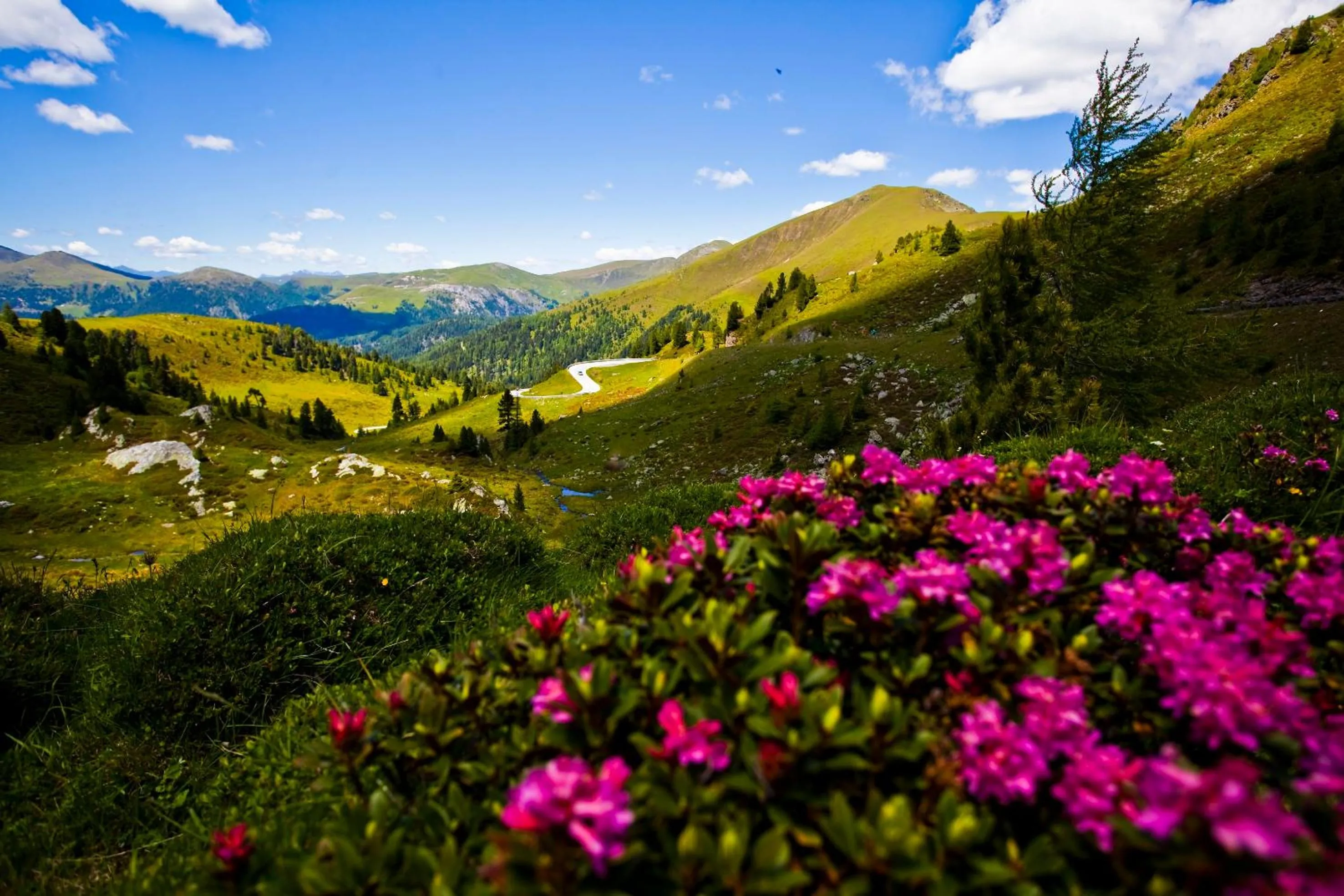 Natural landscape in Wohlfühl & Genusshotel Felsenhof