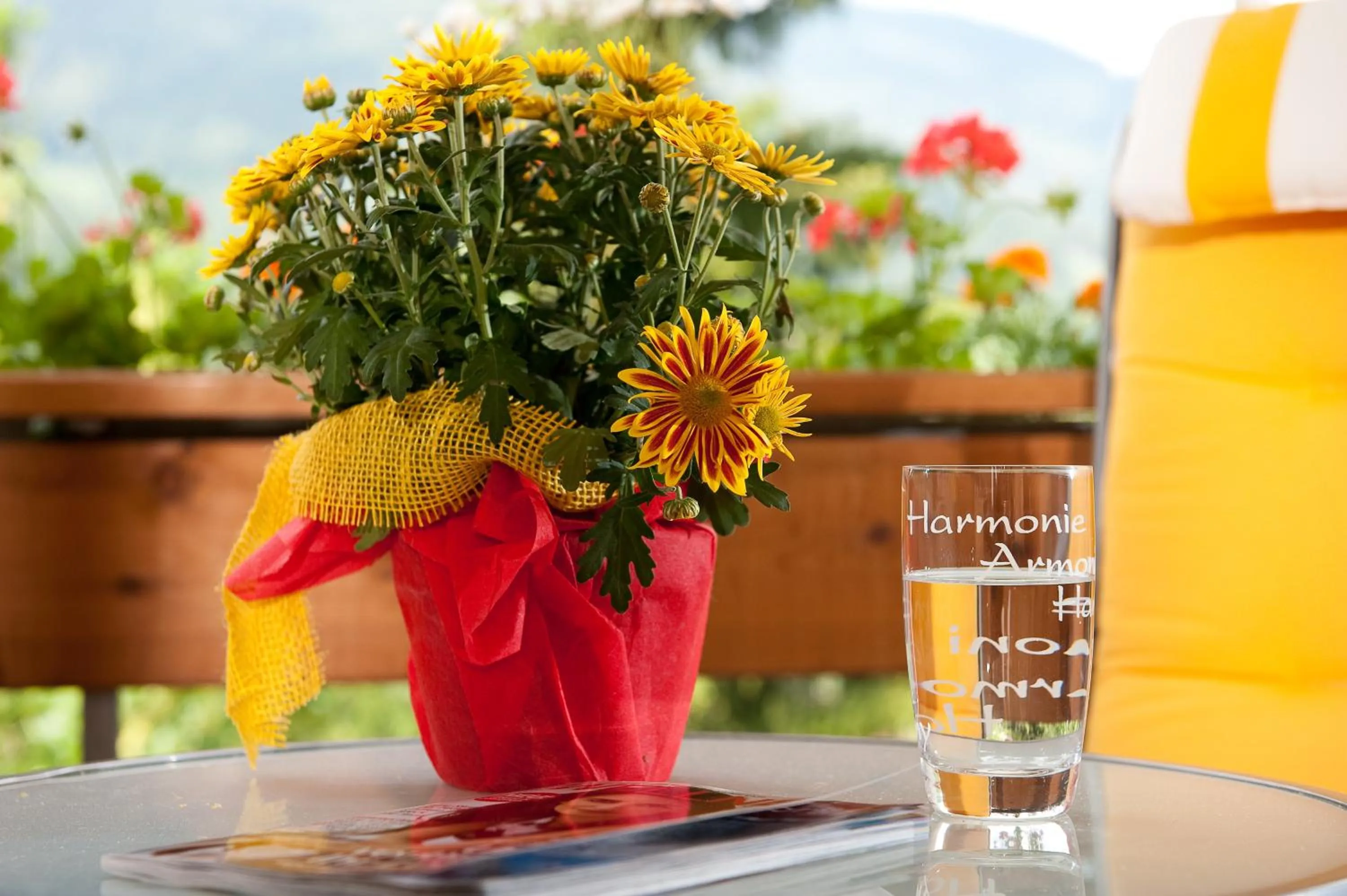 Other in Wohlfühl & Genusshotel Felsenhof