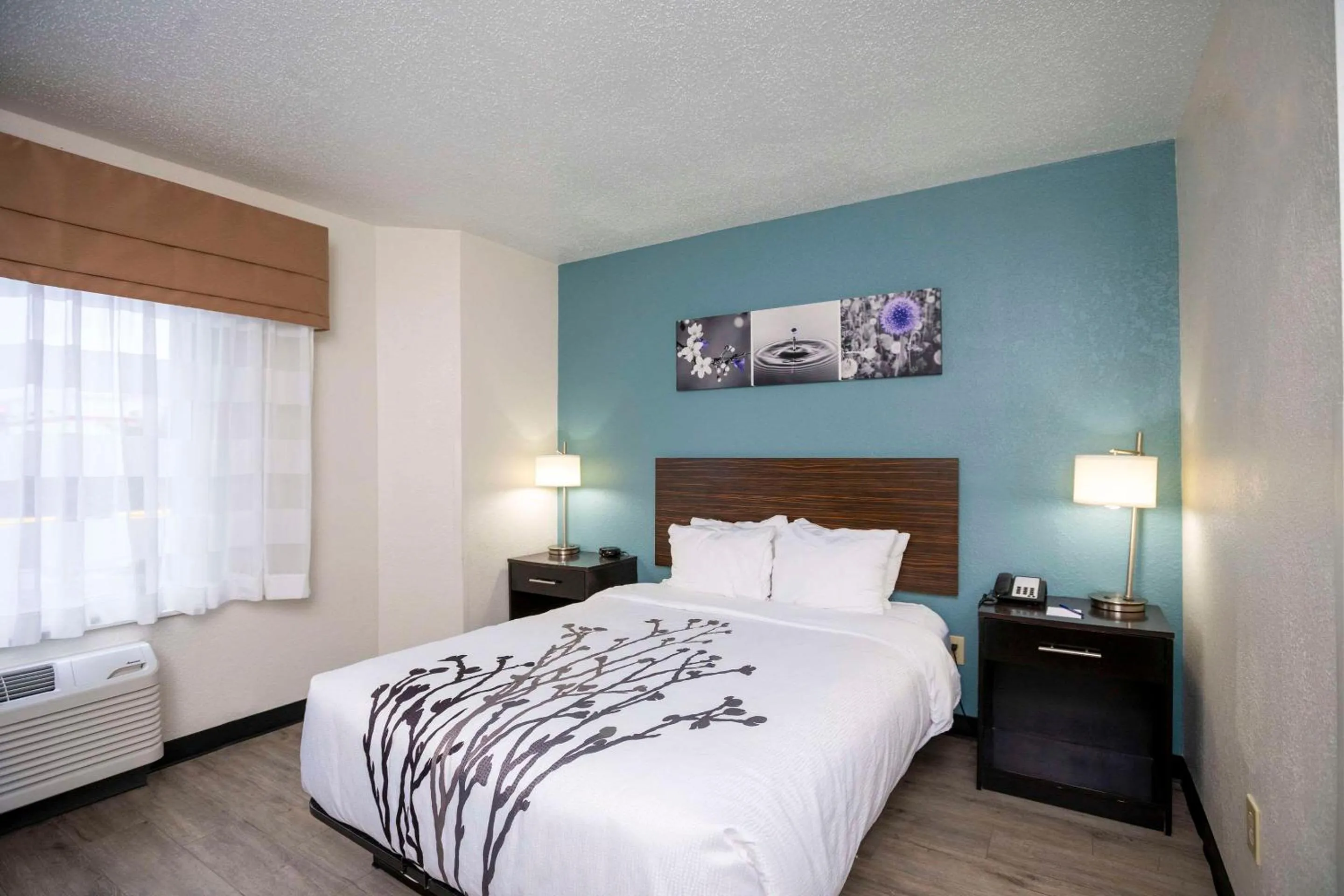 Bedroom, Bed in Sleep Inn Myrtle Beach near Outlets